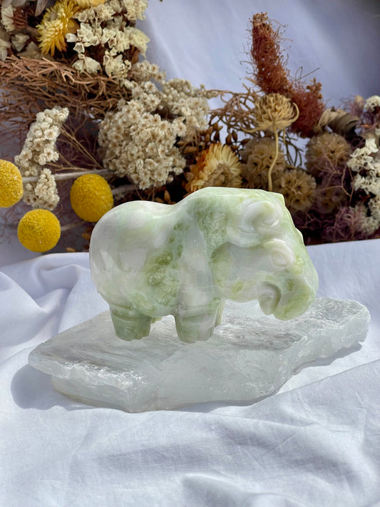 Lemon Jade Hippo