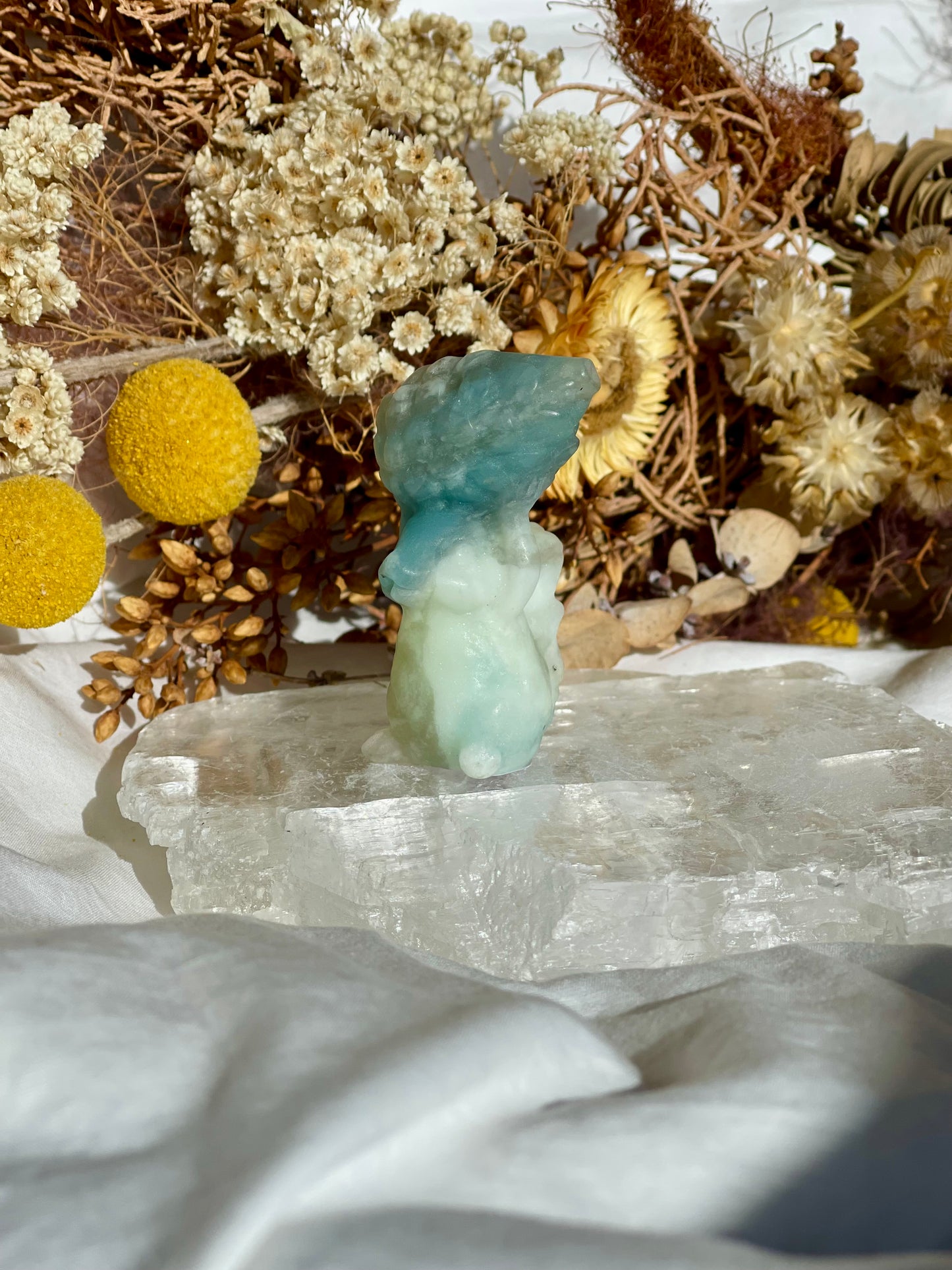 Brazilian Amazonite Squirrel #1