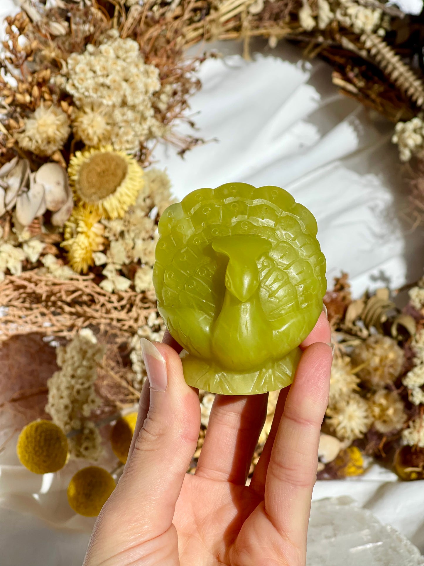 Lemon Jade Peacock