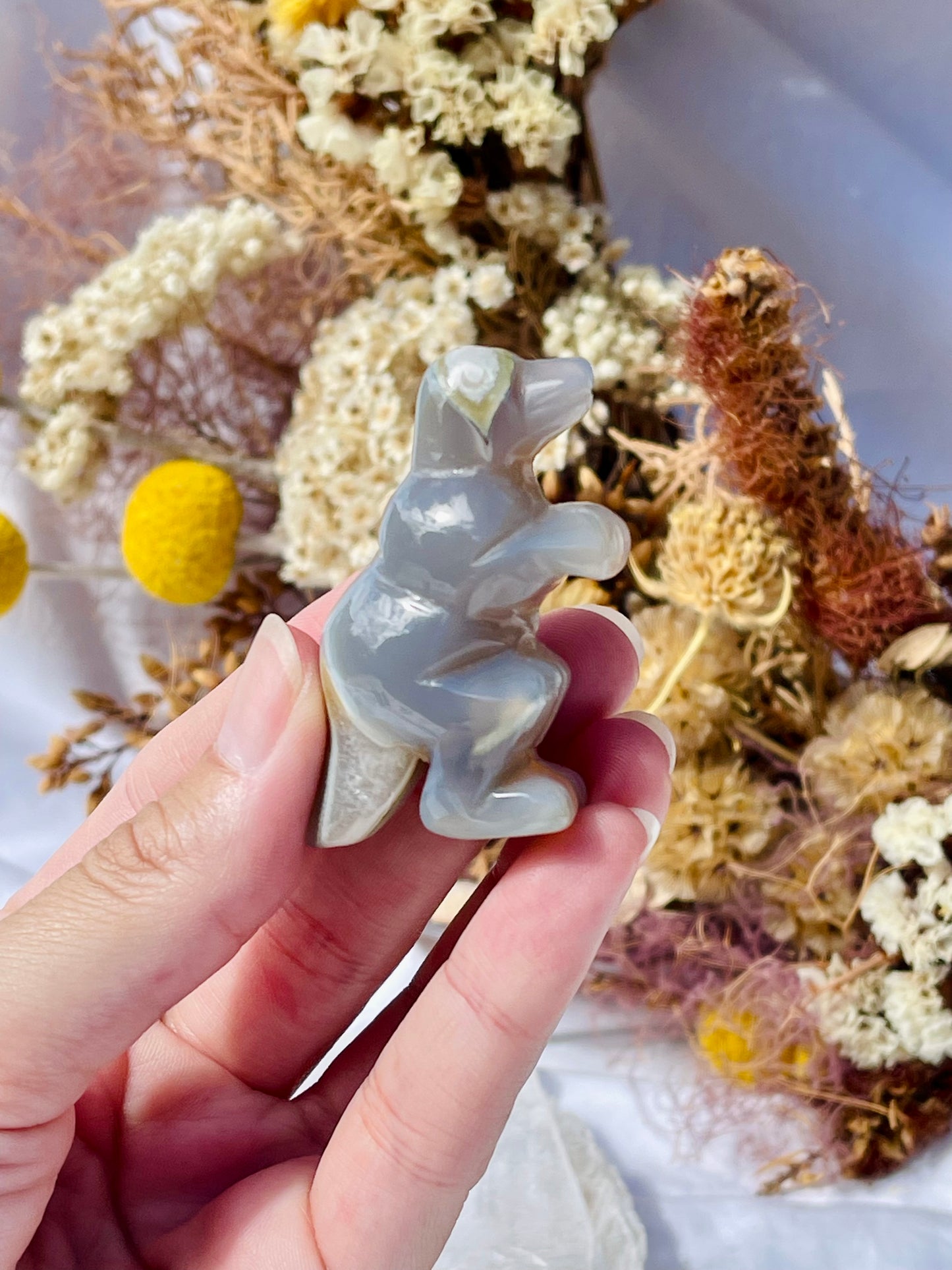 Agate T-Rex #2
