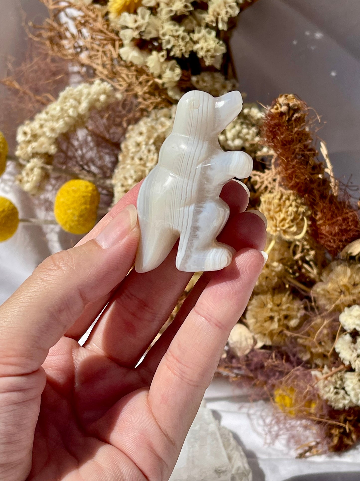 Agate T-Rex #3