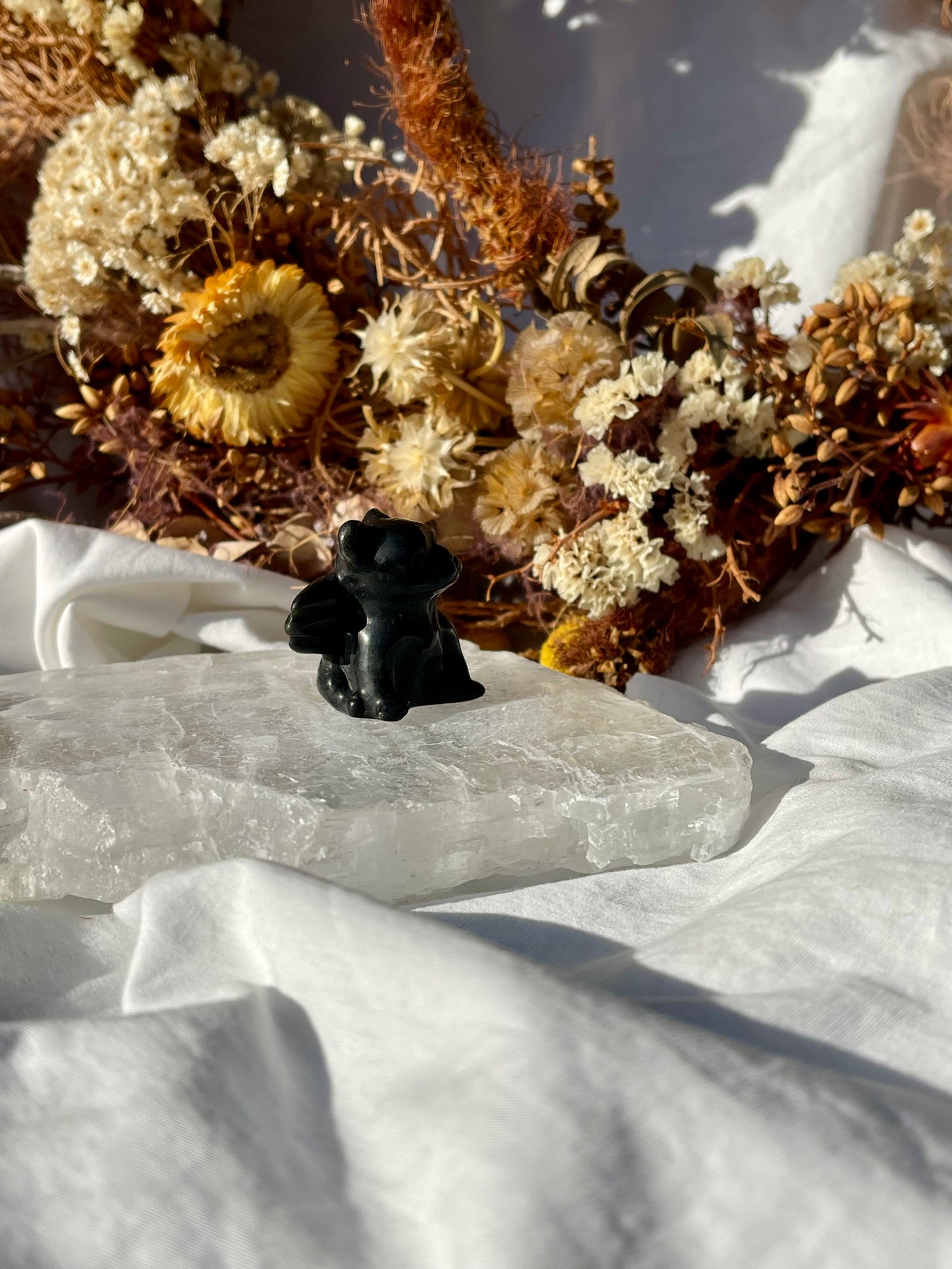 Black Obsidian Angel French Bulldog