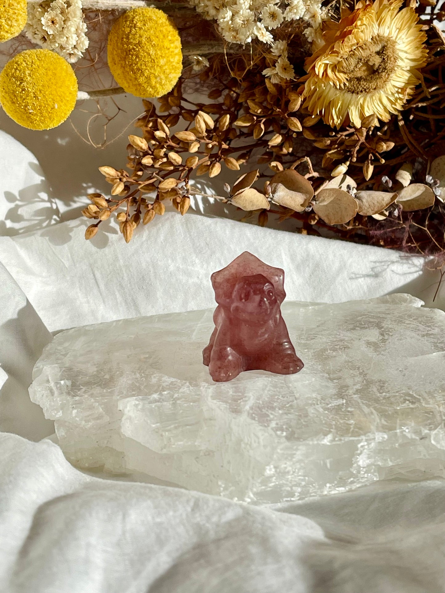 Strawberry Quartz Baby Triceratops