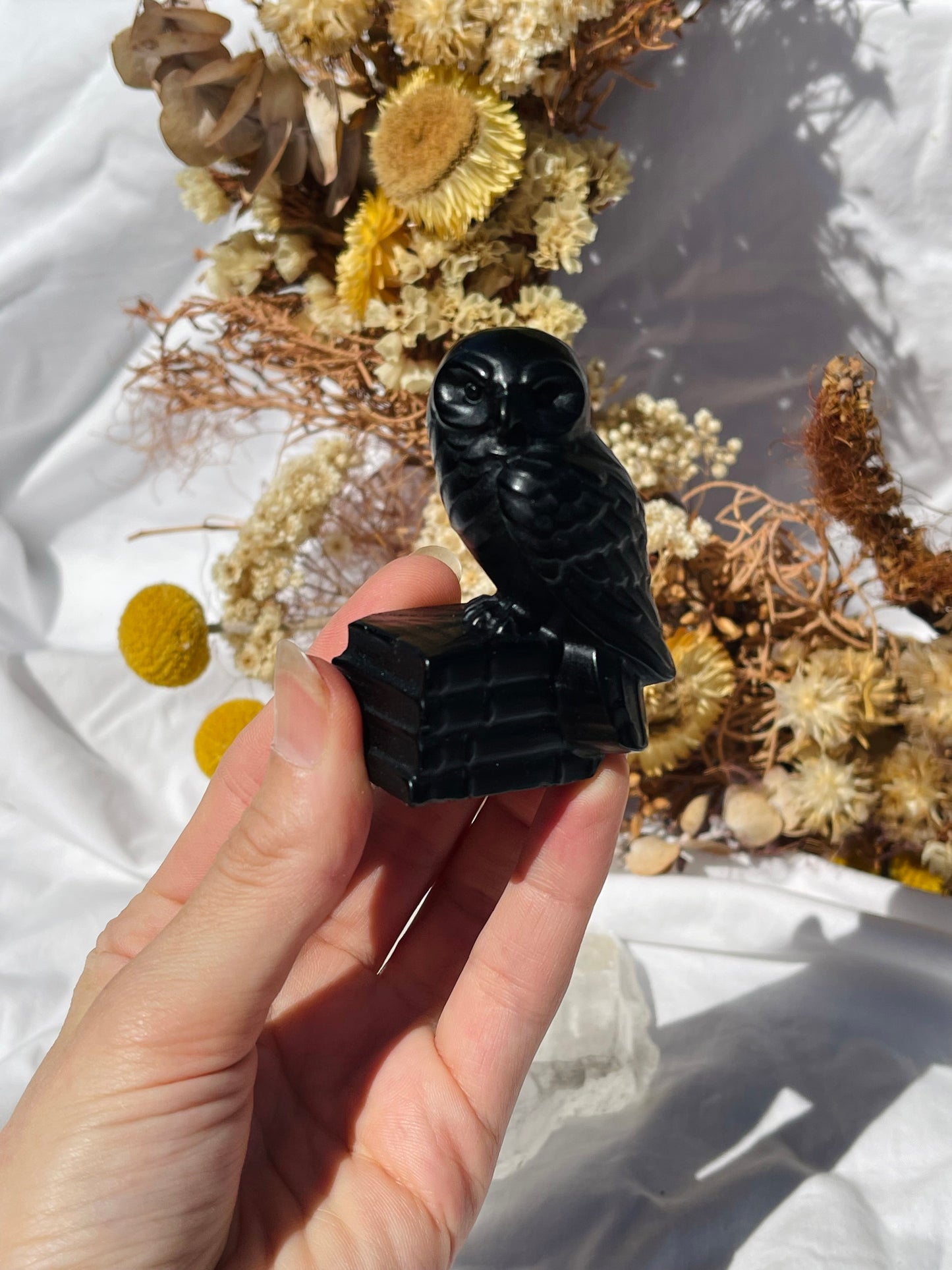 Black Obsidian Owl #1