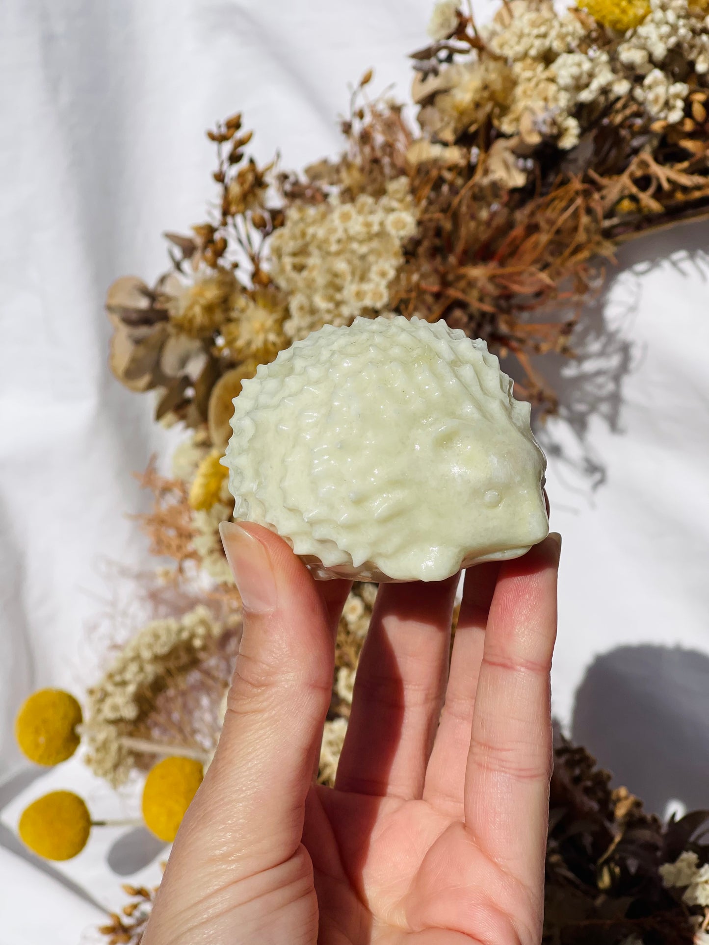 Lemon Jade Hedgehog #2