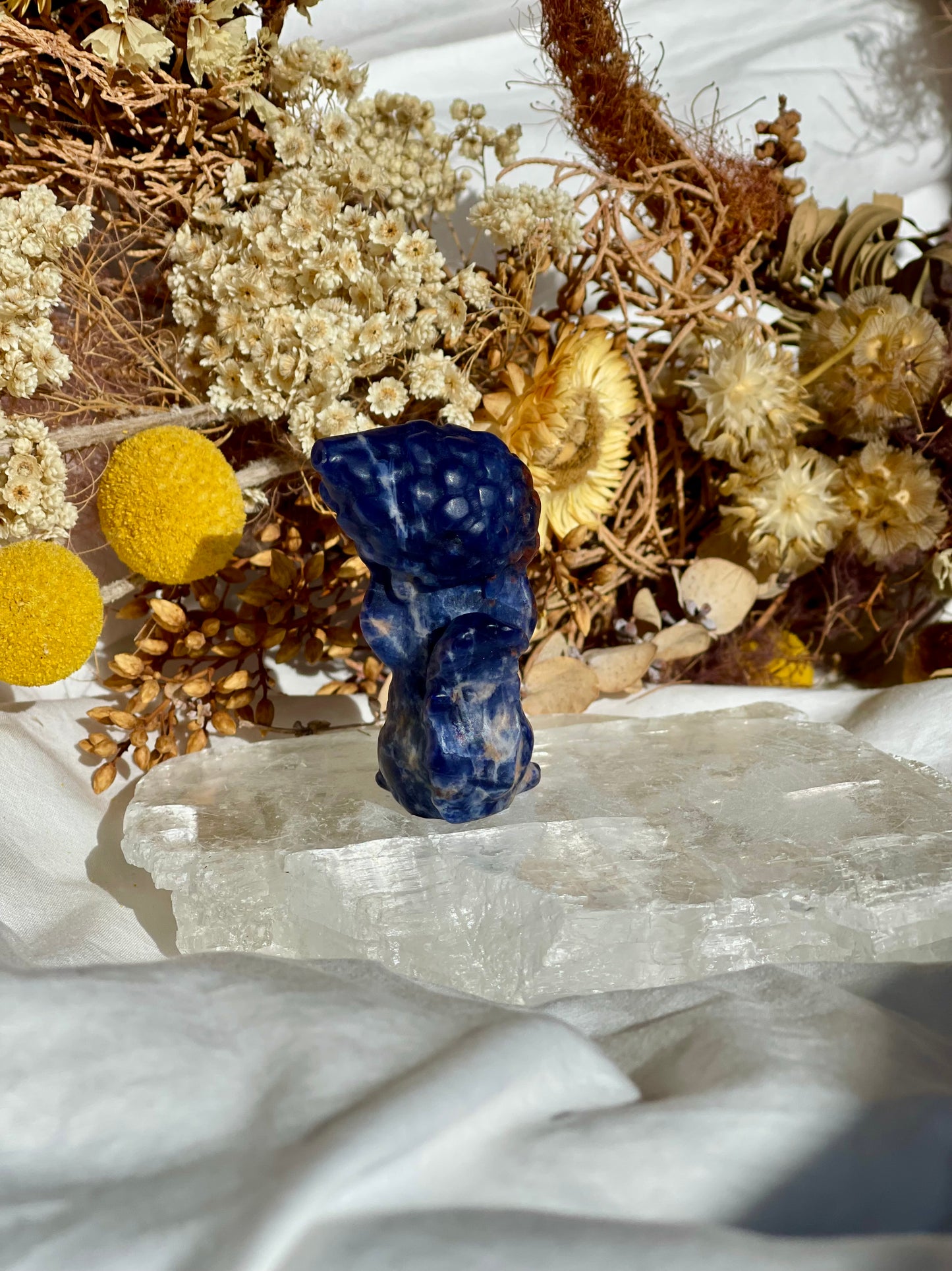 Sodalite Squirrel