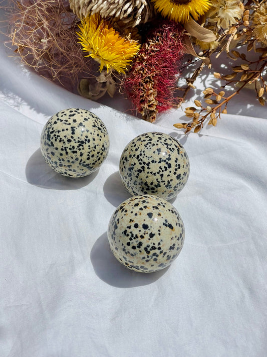 Dalmatian Jasper Sphere
