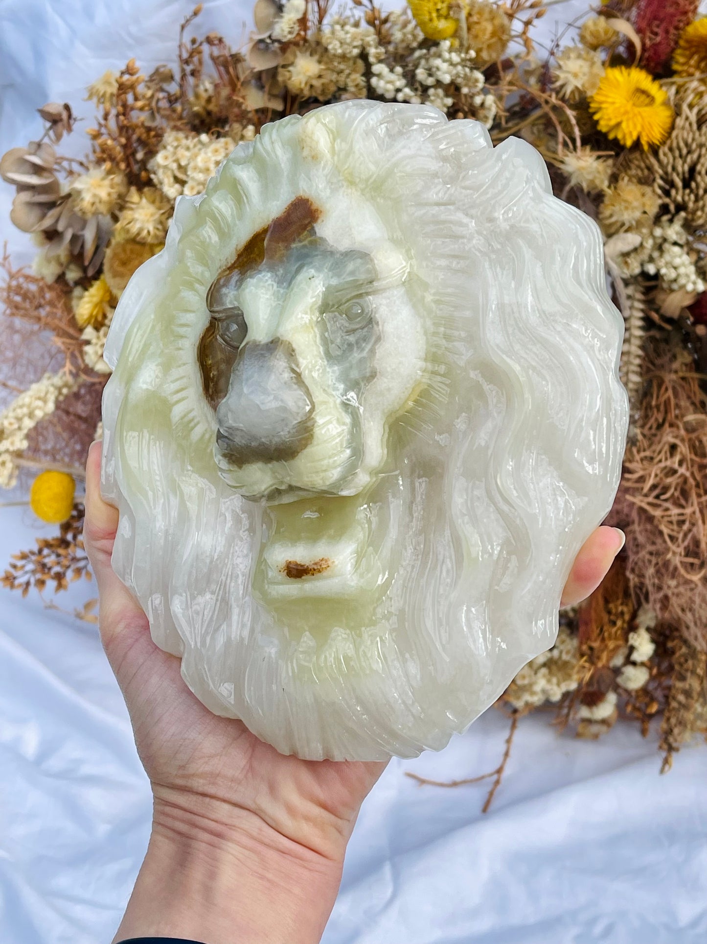 Afghanistan Jade Lion