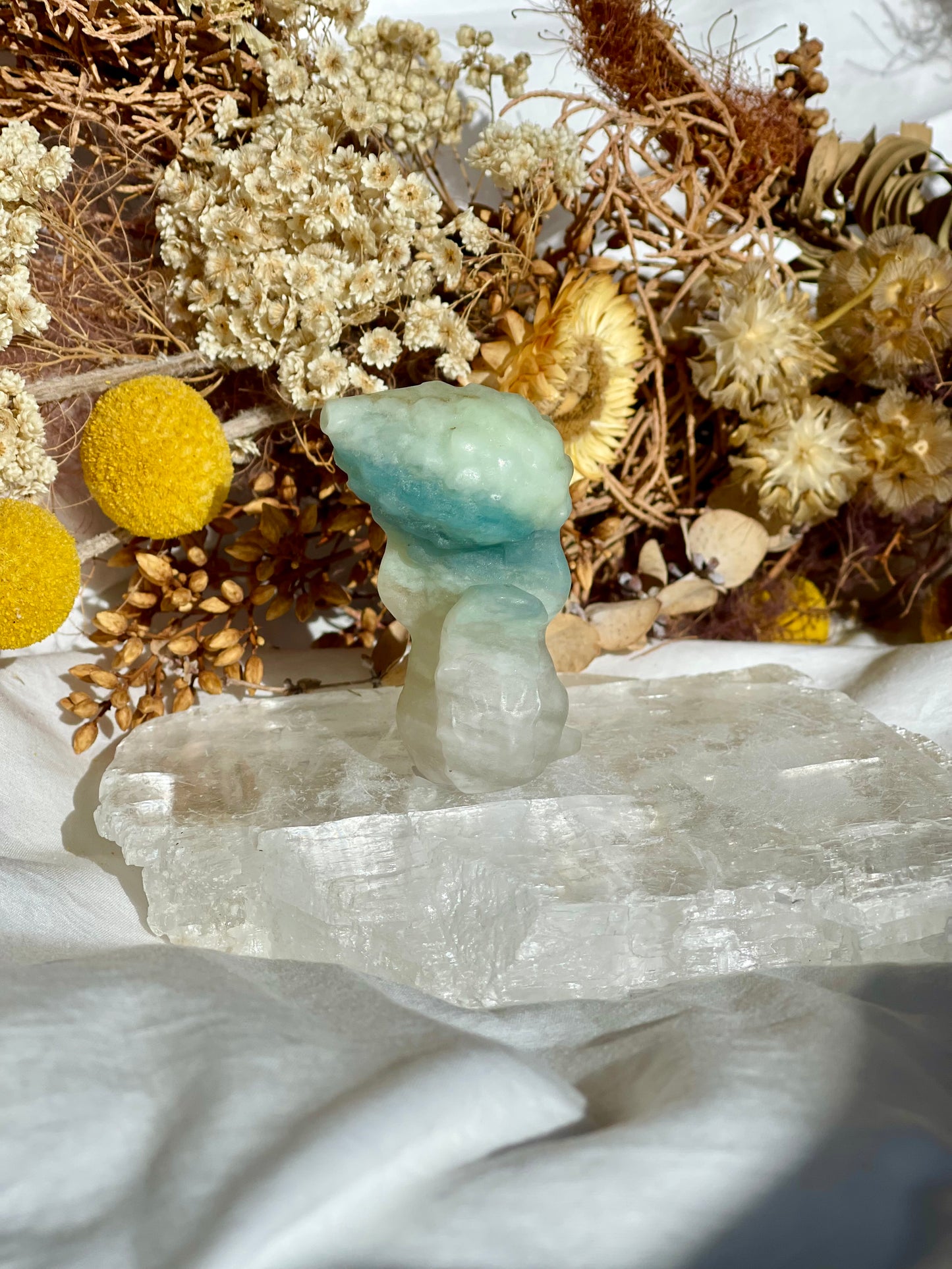 Brazilian Amazonite Squirrel #2