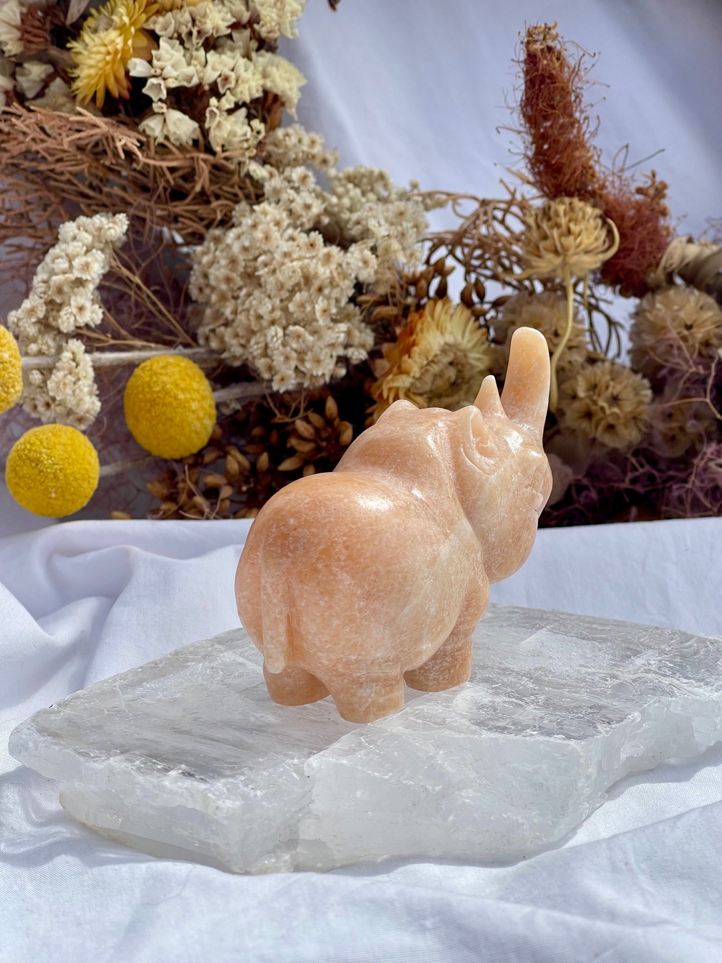 Sunstone Rhino