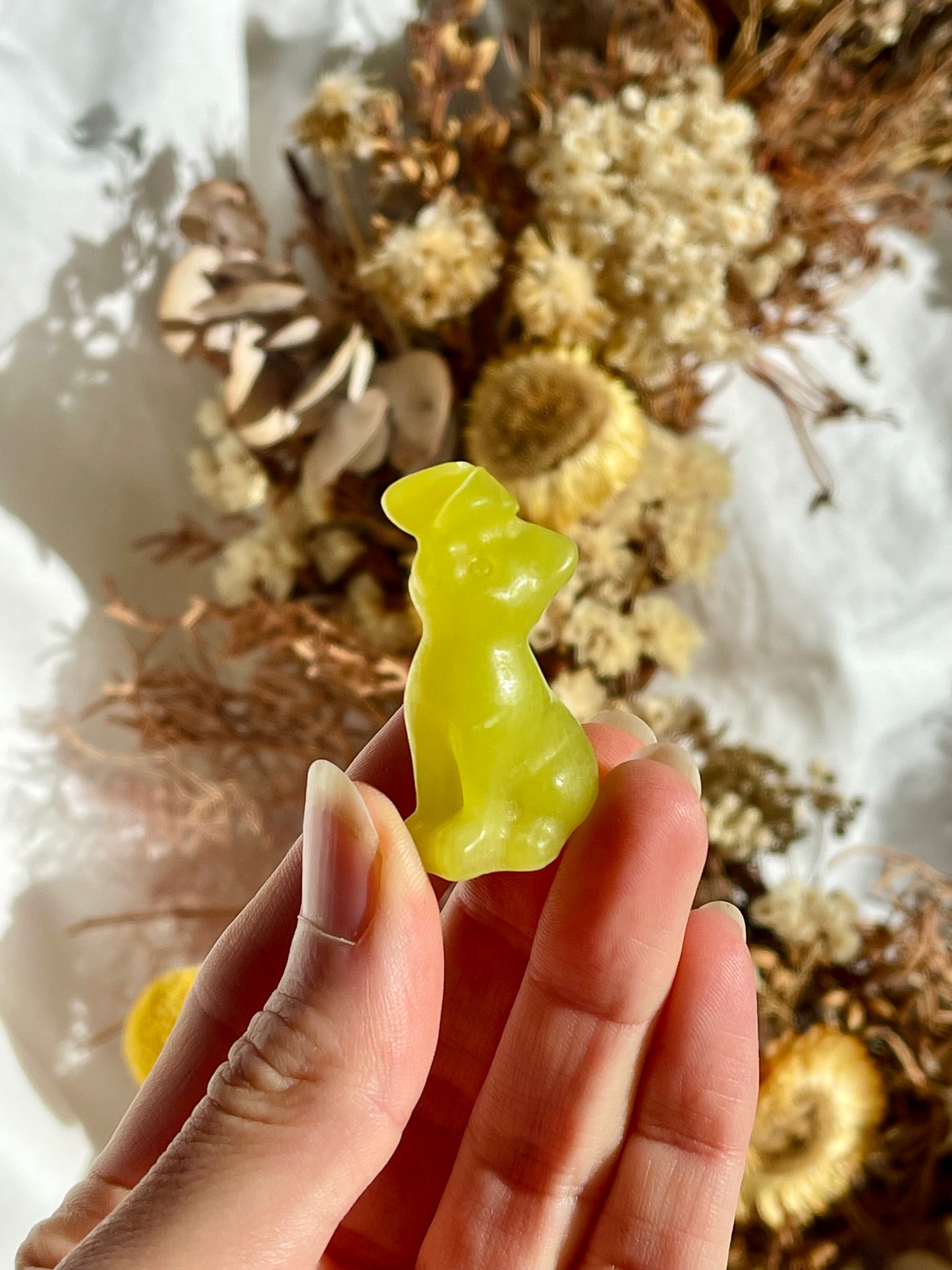Lemon Jade Cat With Butterfly