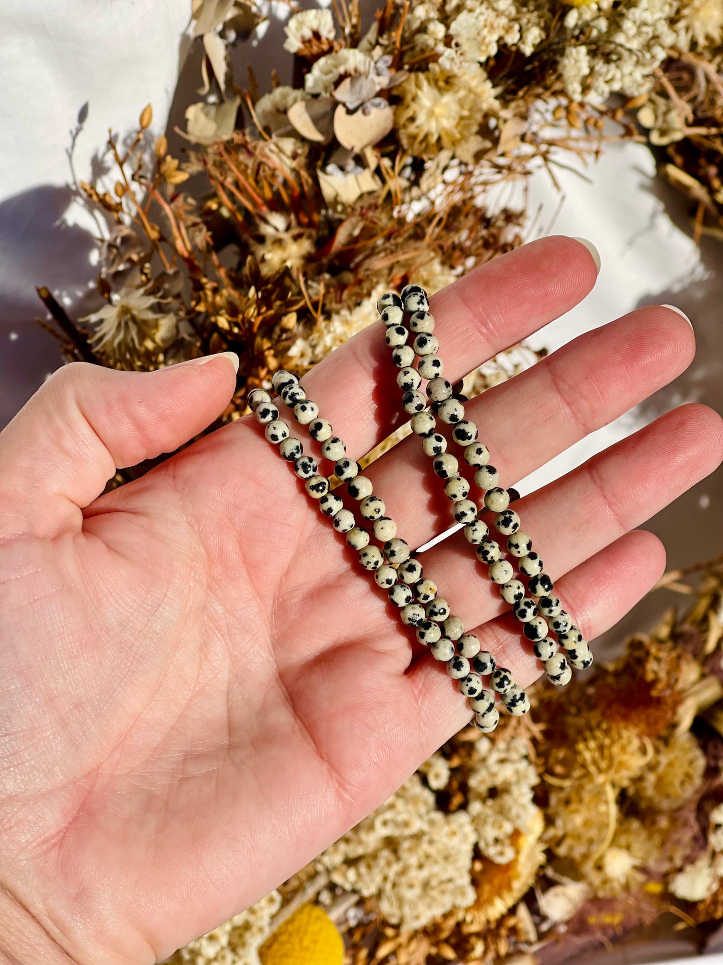 Dalmatian Jasper Bracelet | 4mm