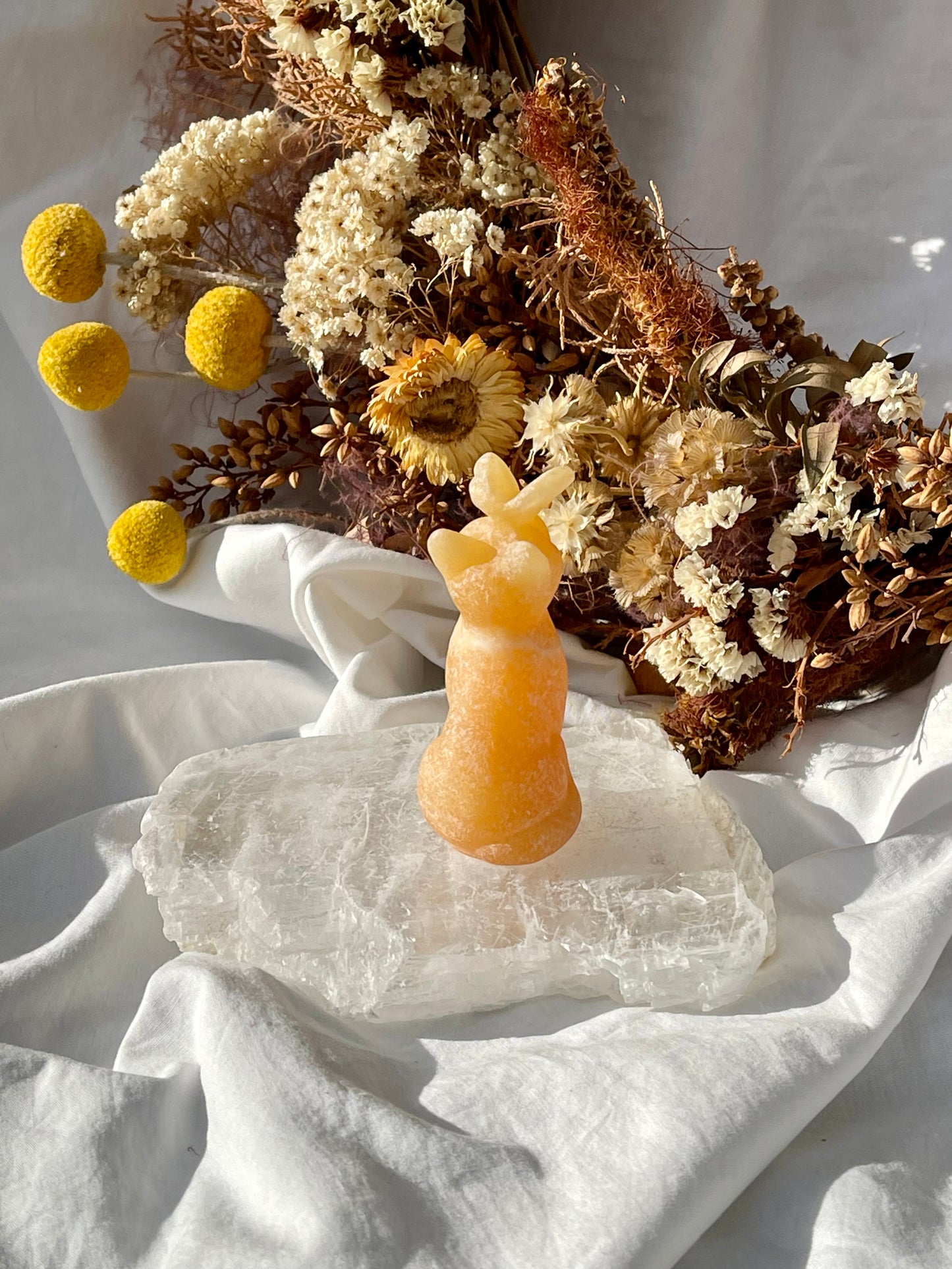 Orange Calcite Cat With Butterfly