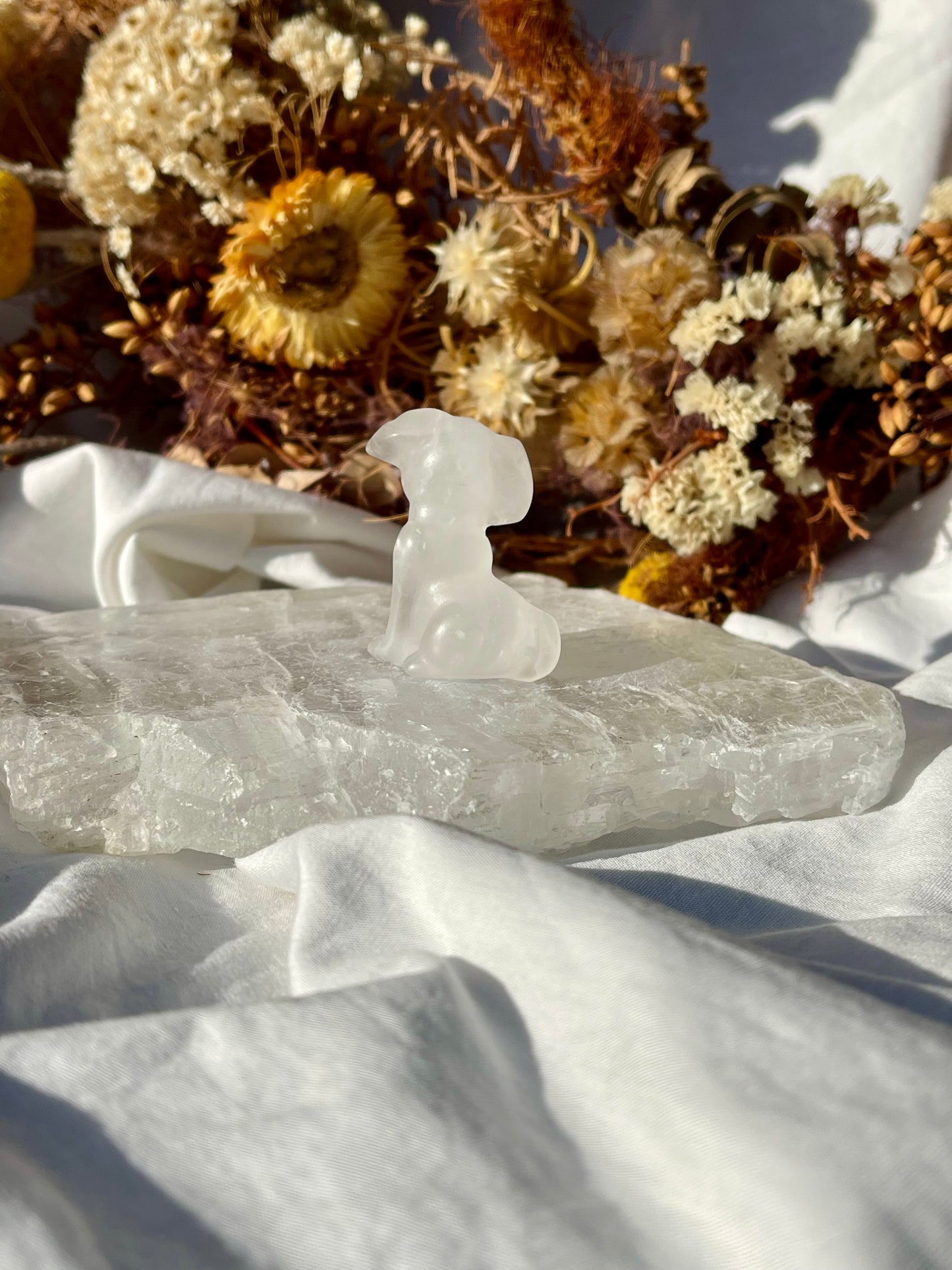 Quartz Dog