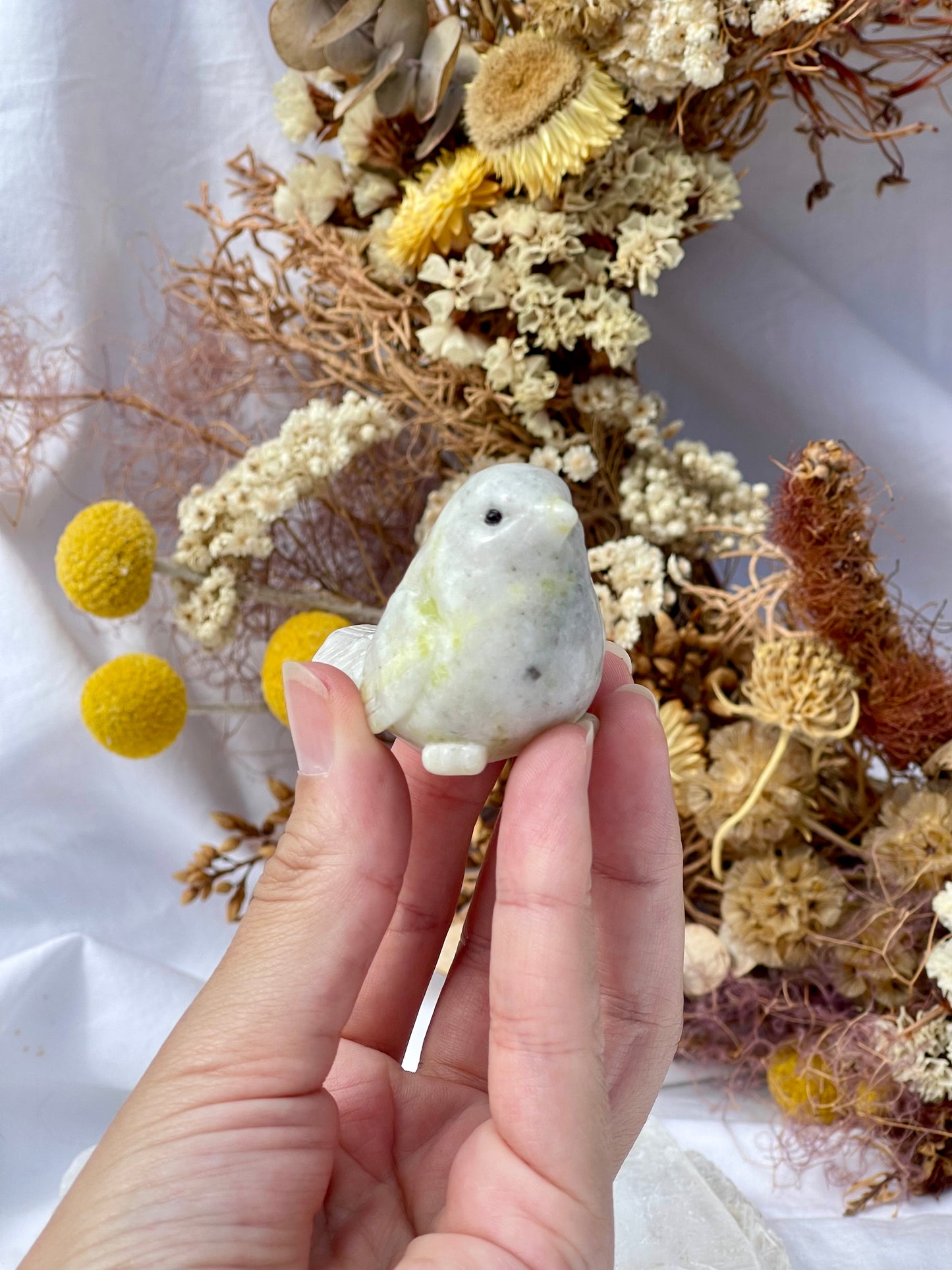 Lemon jade bird 5