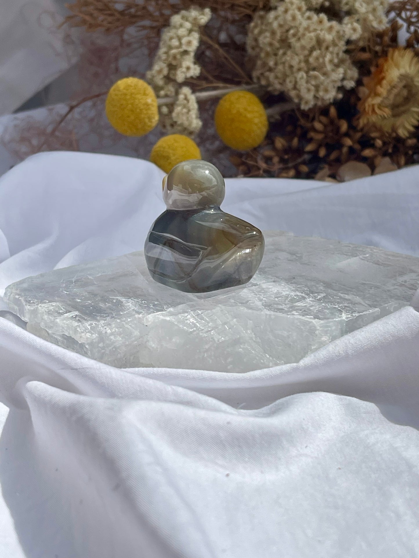 Agate duck #2