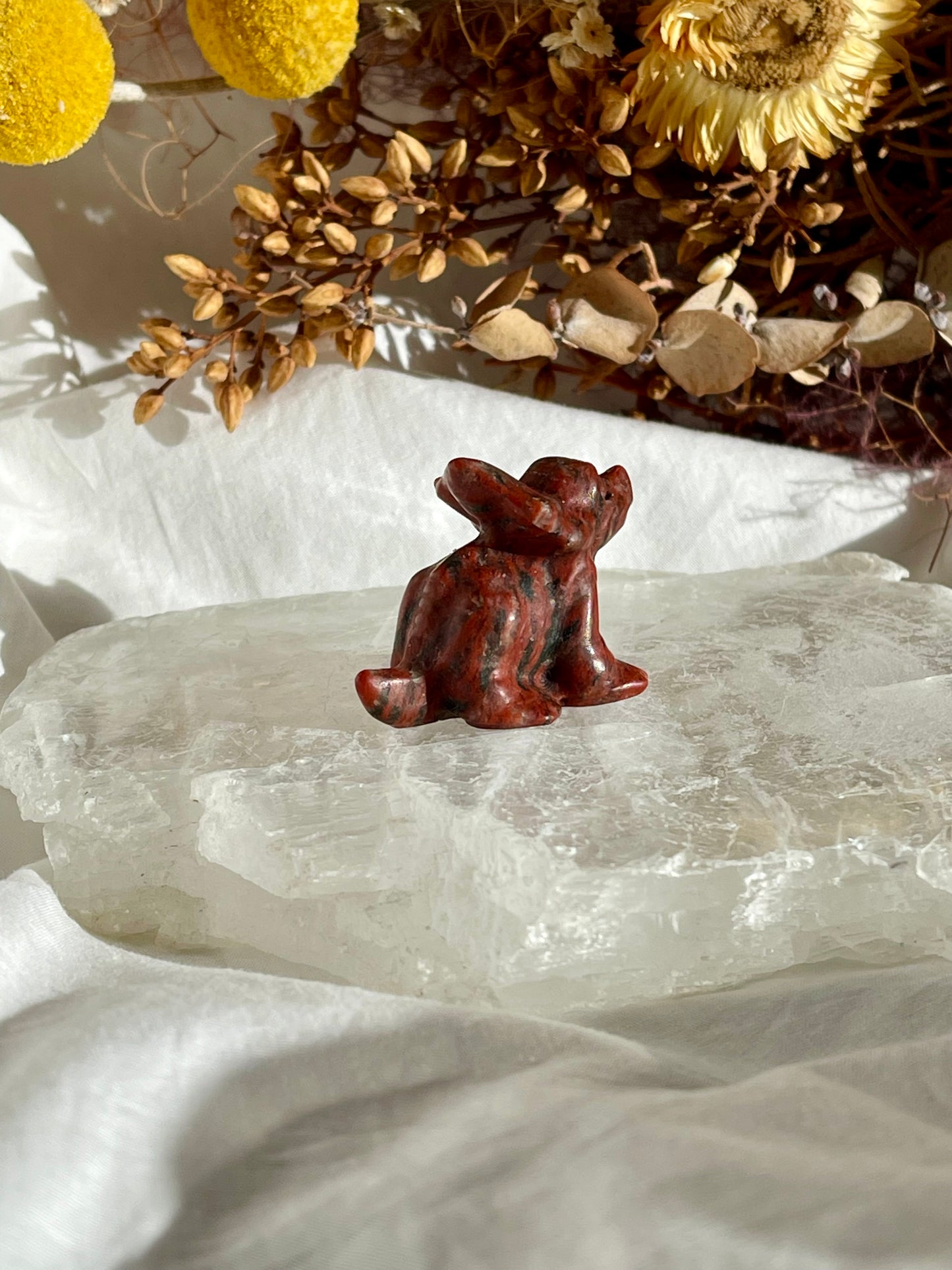 Red Jade Baby Triceratops