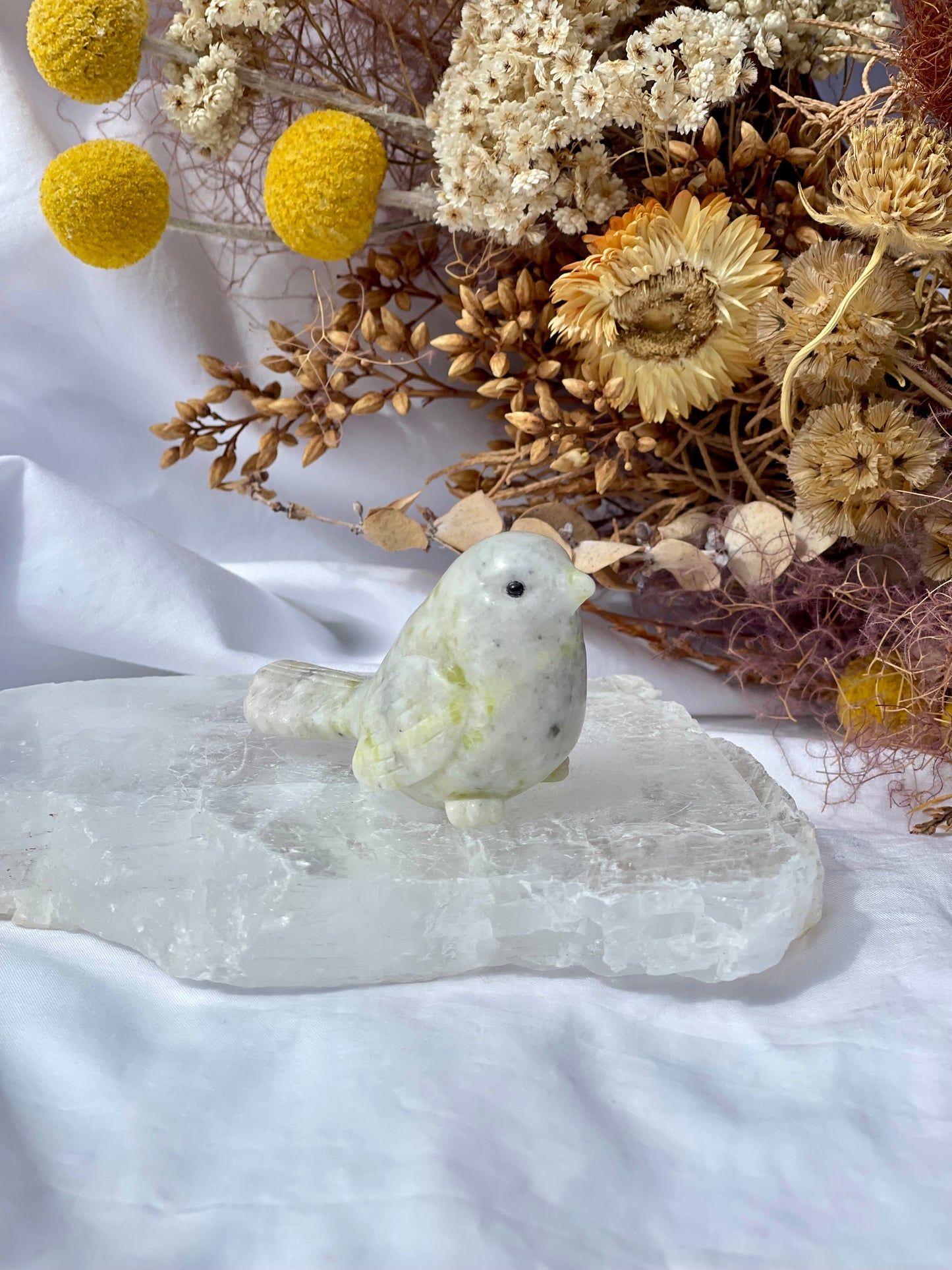 Lemon jade bird 5
