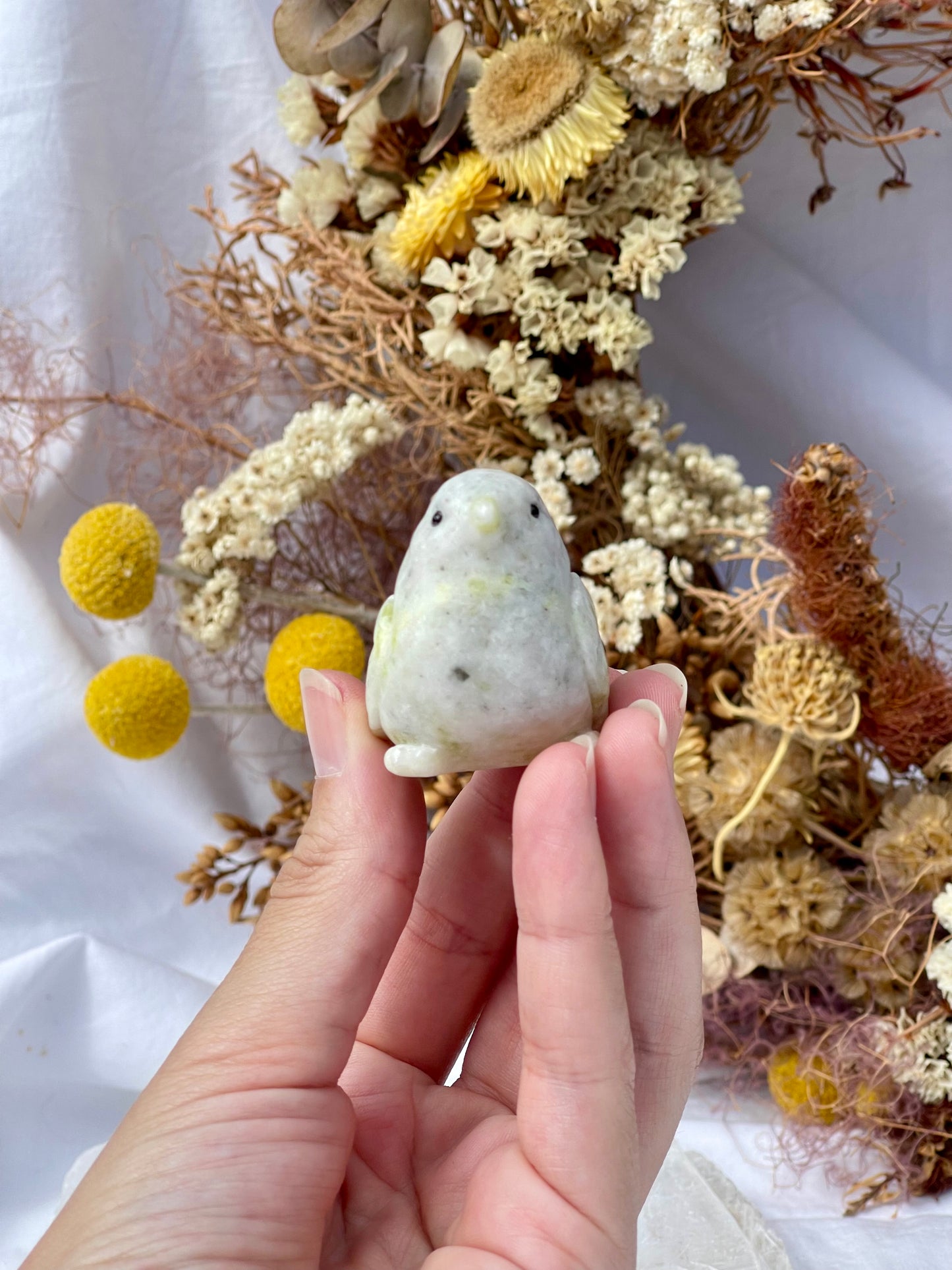 Lemon jade bird 5