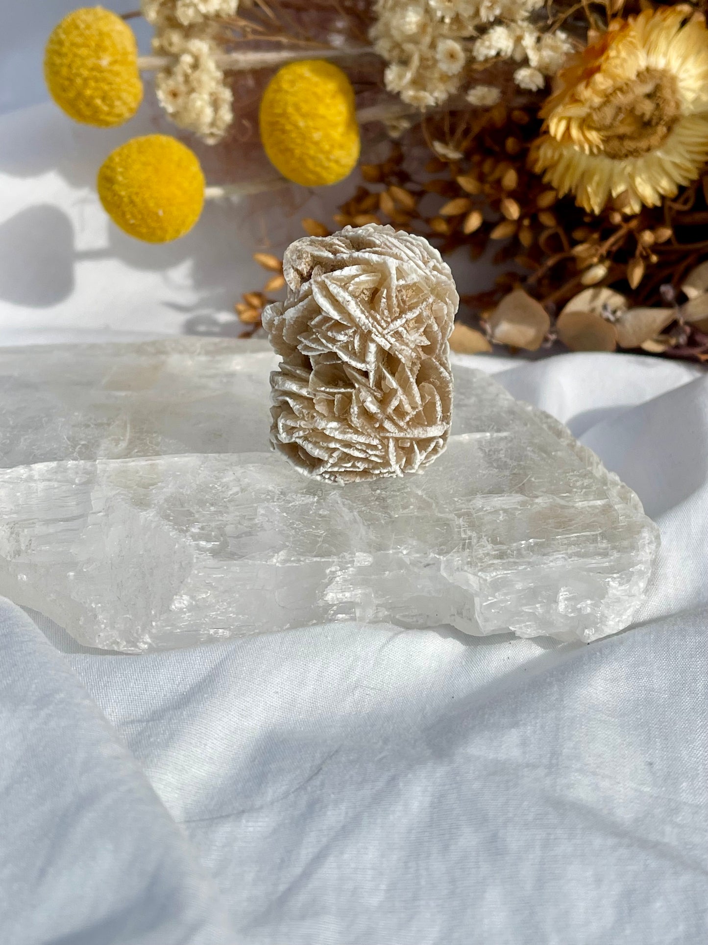 Desert Rose Critter #2