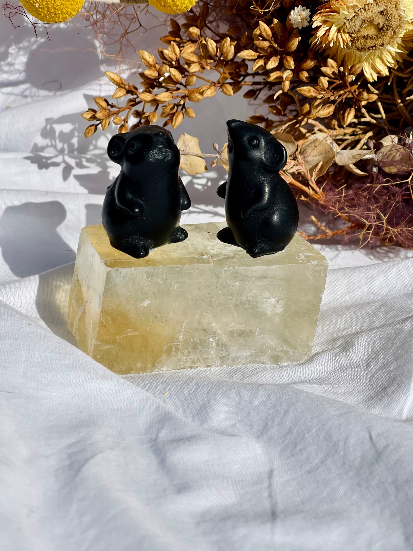 Obsidian Mouse