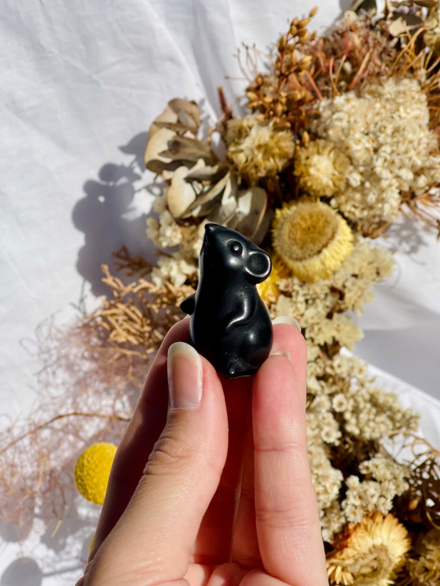 Obsidian Mouse