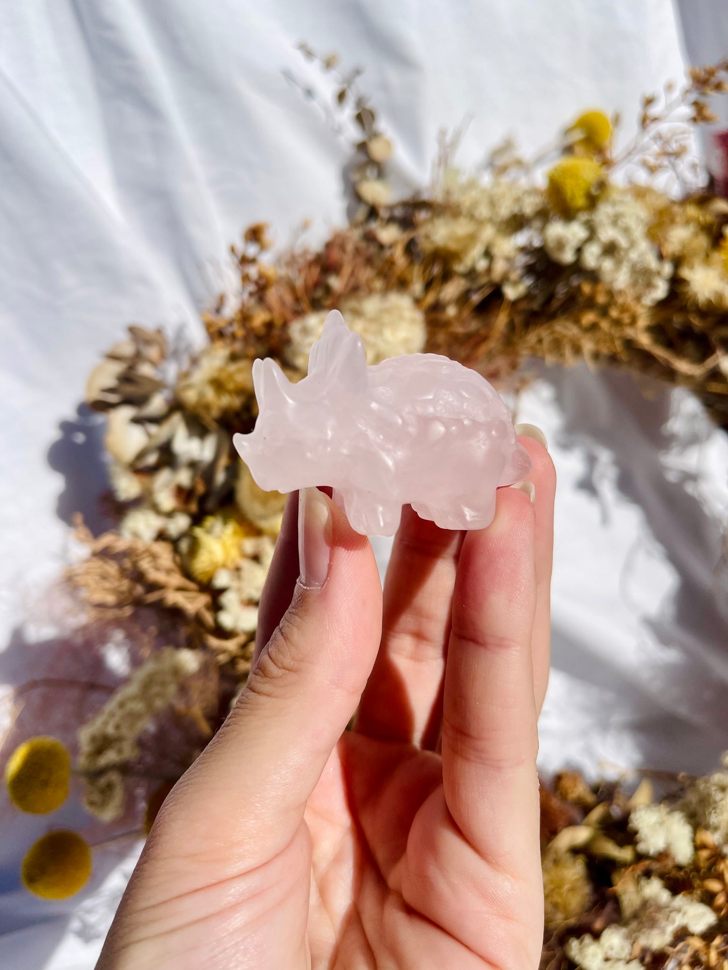 Rose Quartz Triceratops