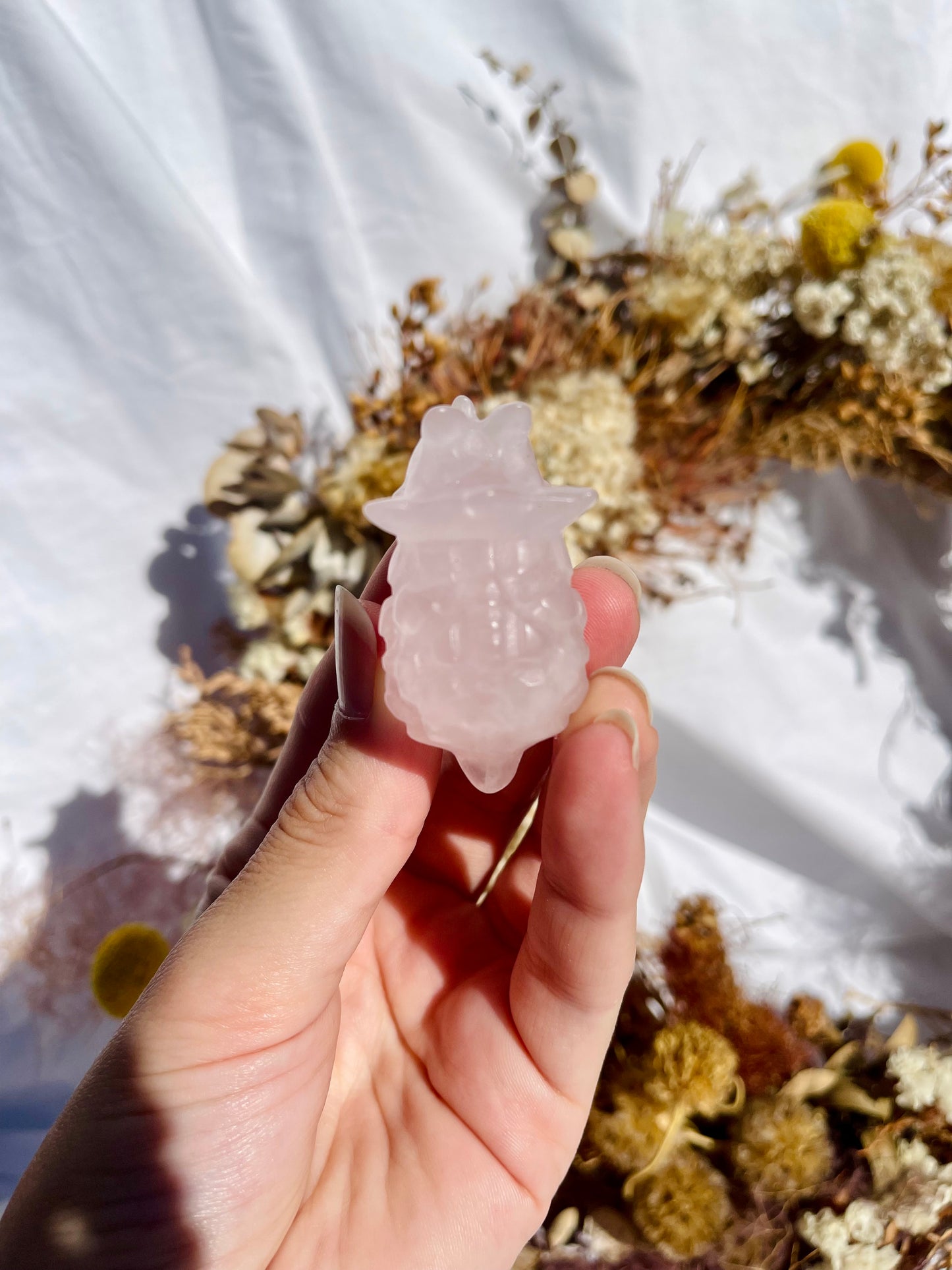 Rose Quartz Triceratops