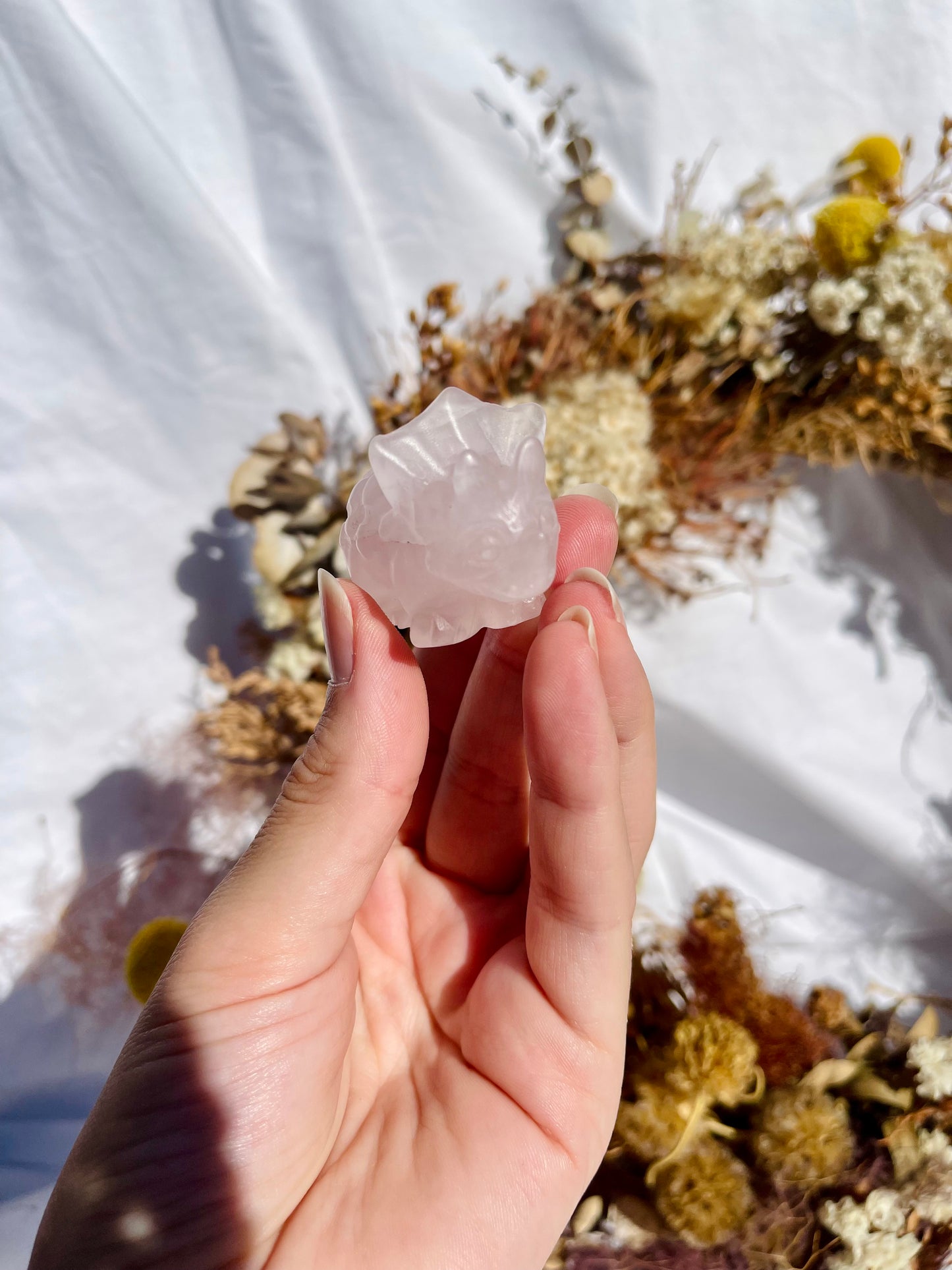 Rose Quartz Triceratops