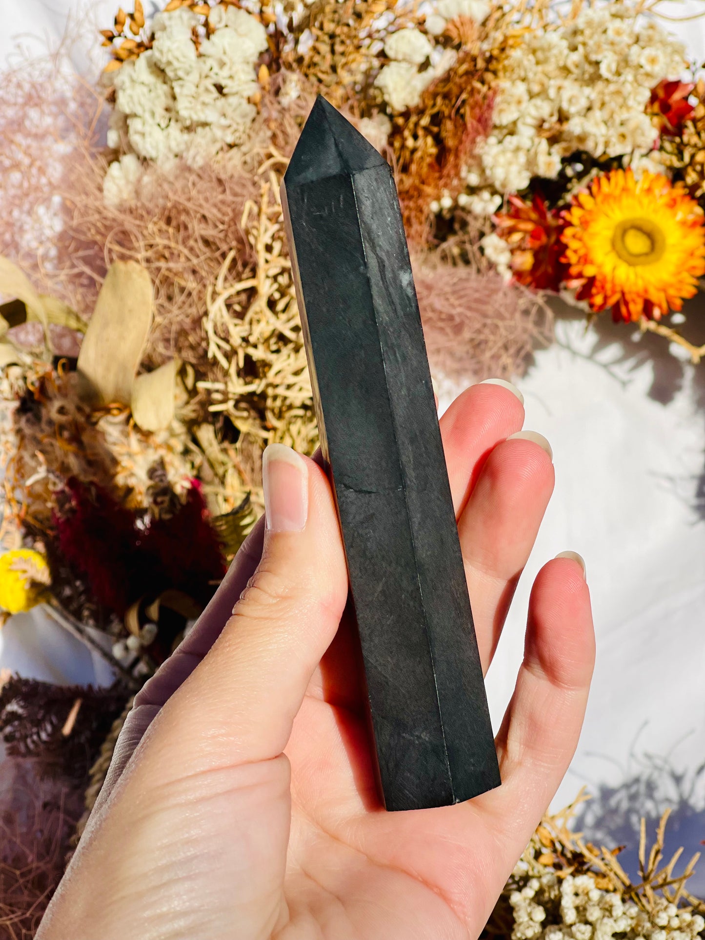 Shungite Point B