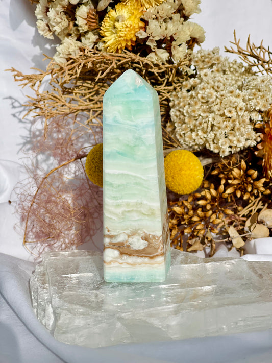 Caribbean Calcite Point C