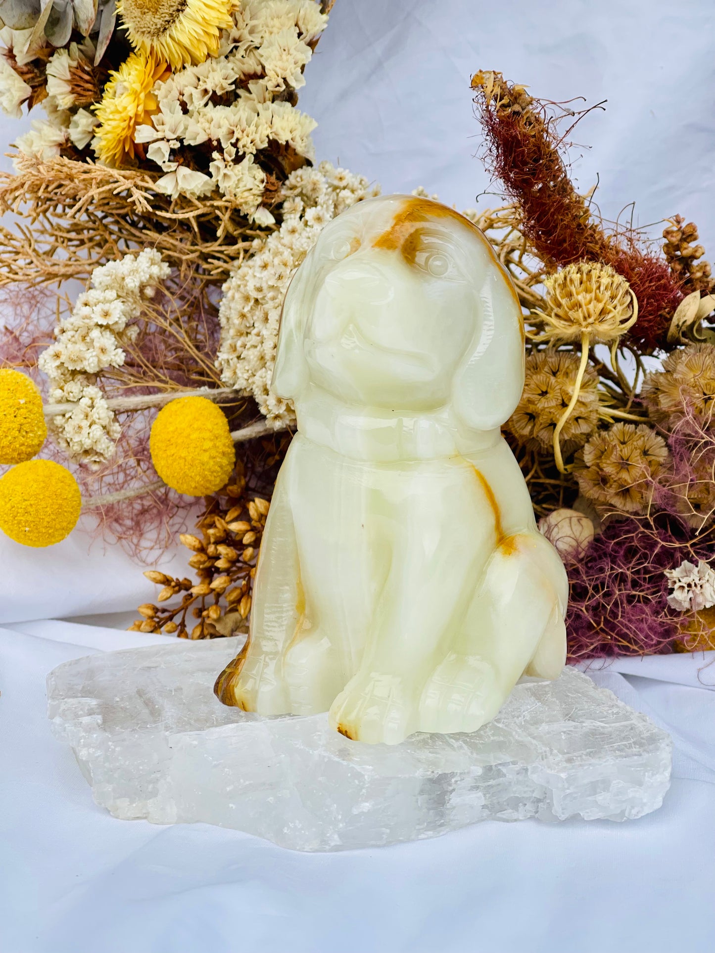 Afghanistan Jade Dog