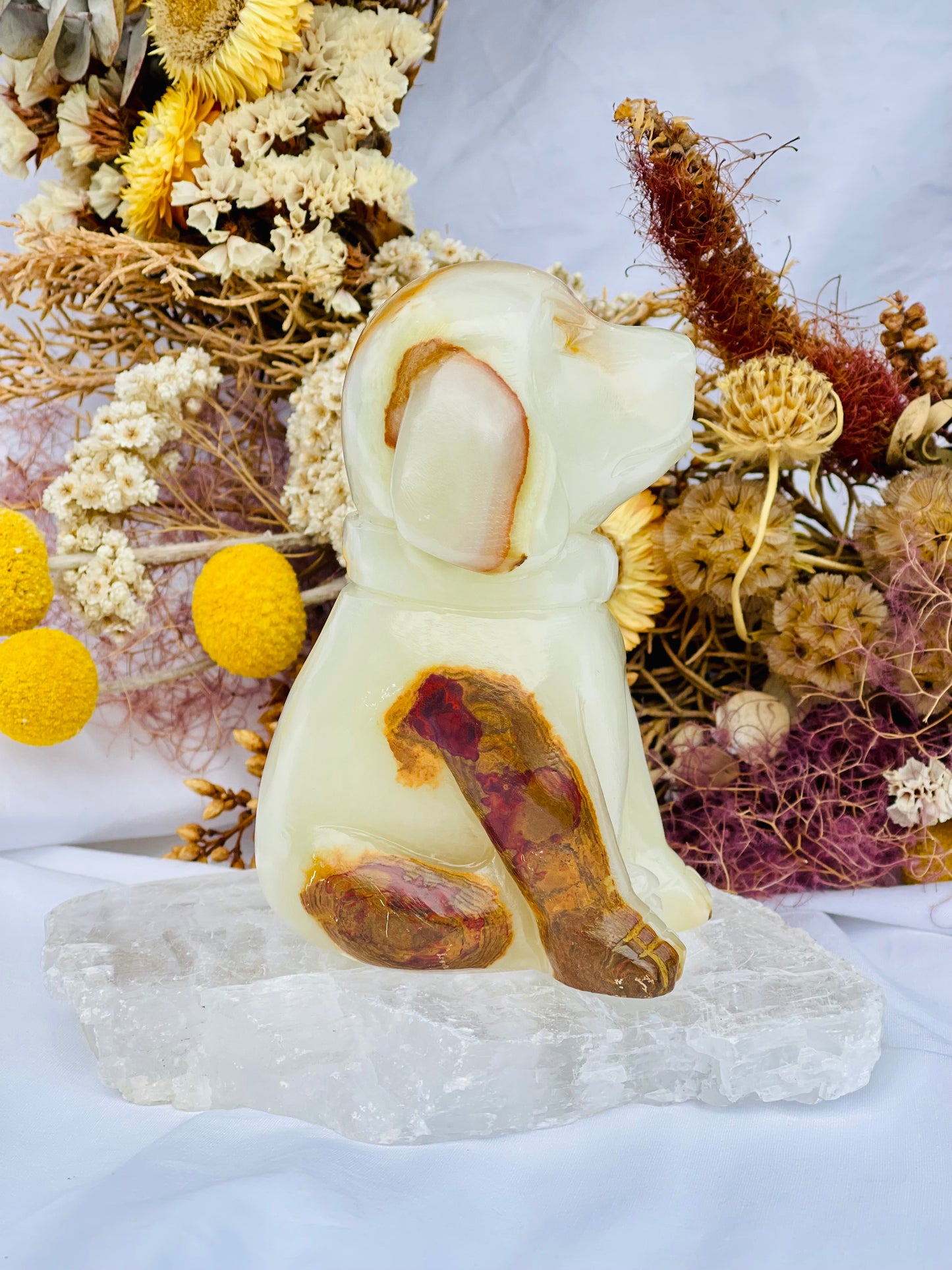 Afghanistan Jade Dog