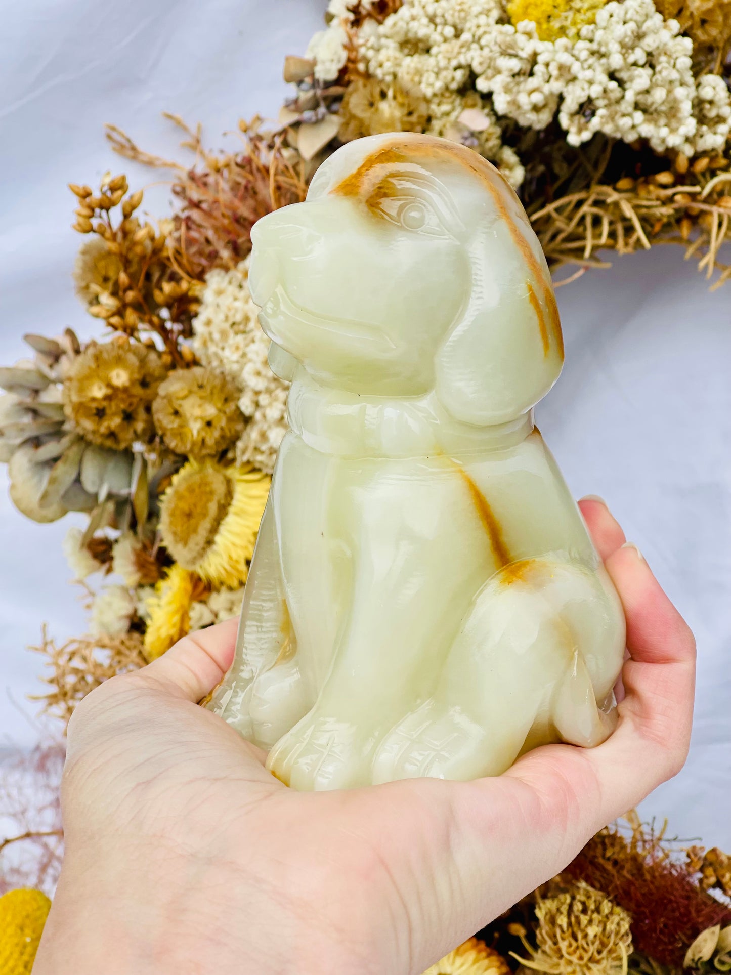 Afghanistan Jade Dog