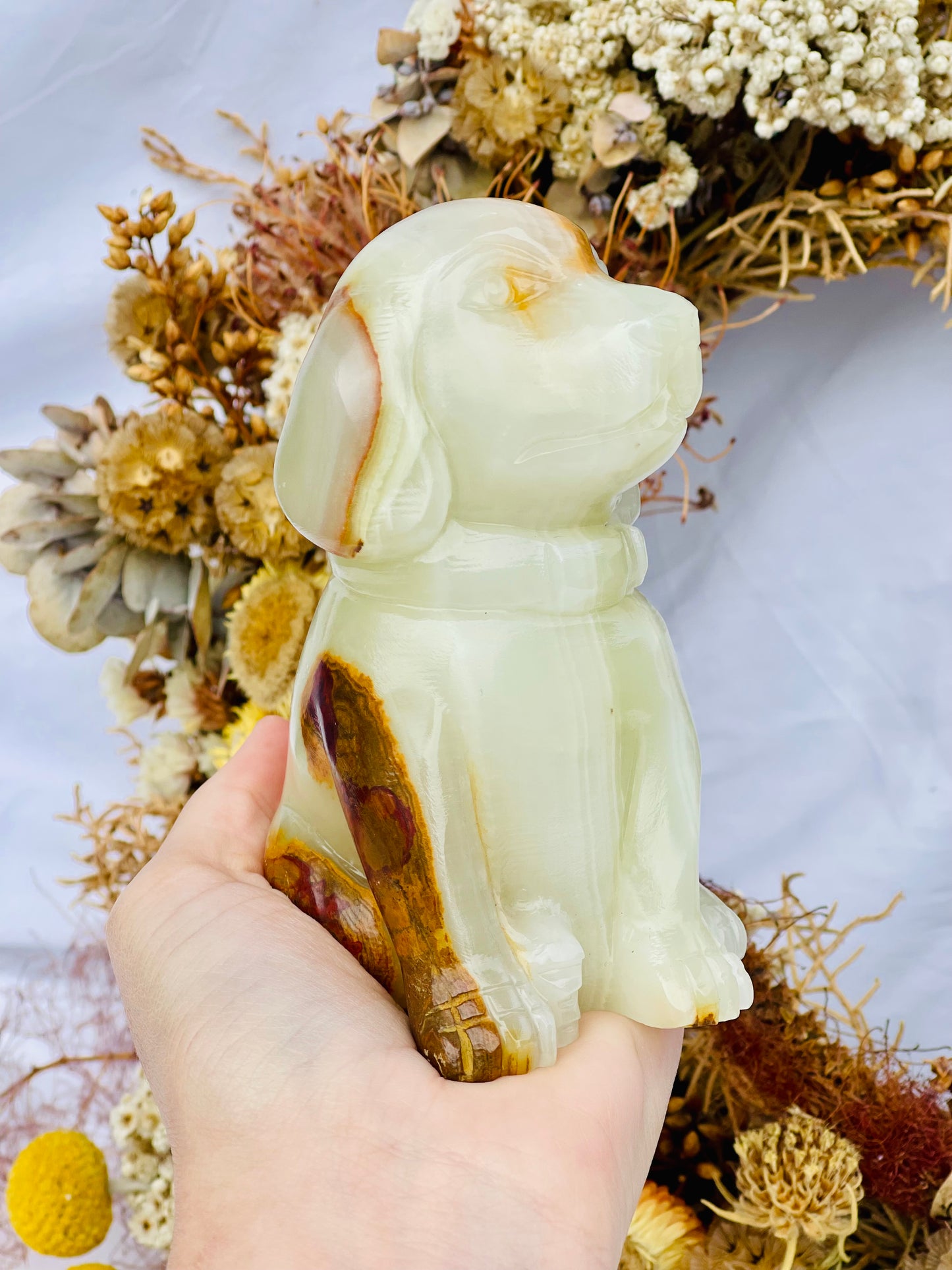 Afghanistan Jade Dog
