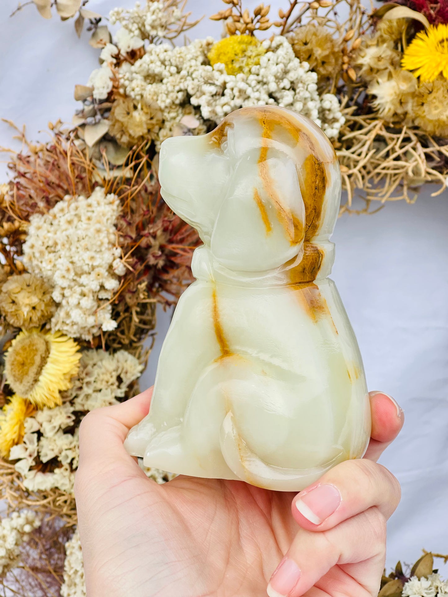 Afghanistan Jade Dog