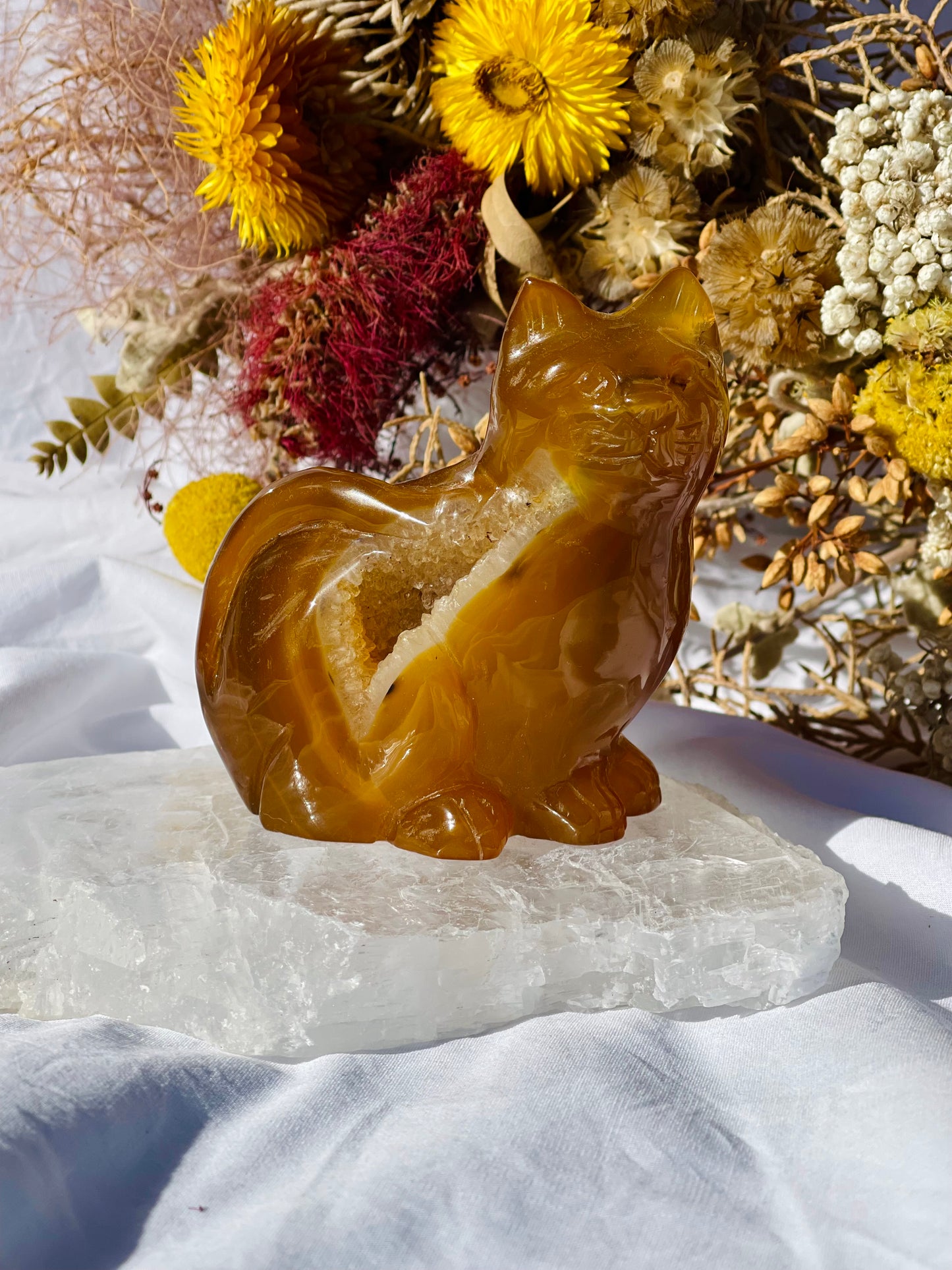 Carnelian Druzy Cat