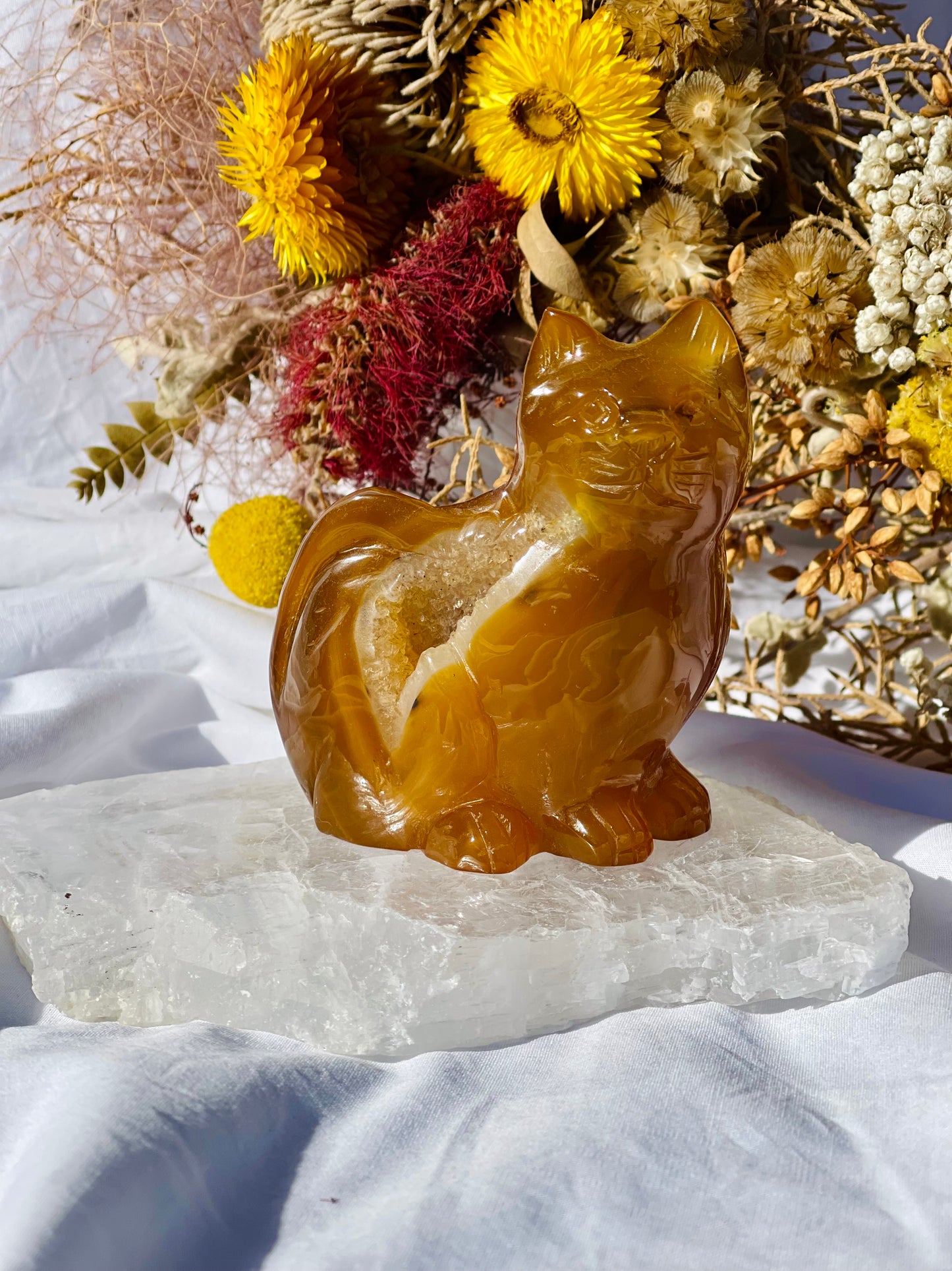 Carnelian Druzy Cat