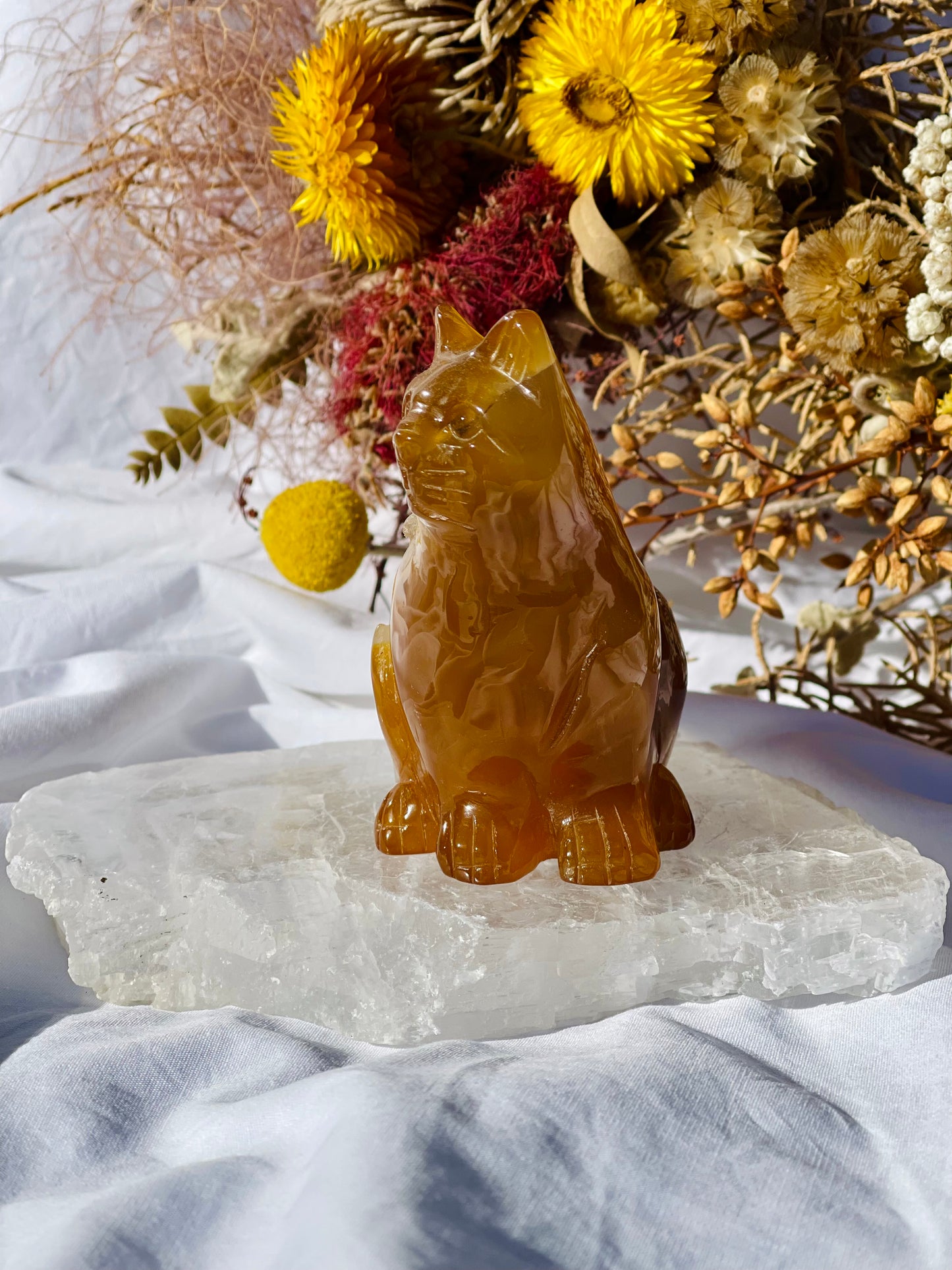 Carnelian Druzy Cat