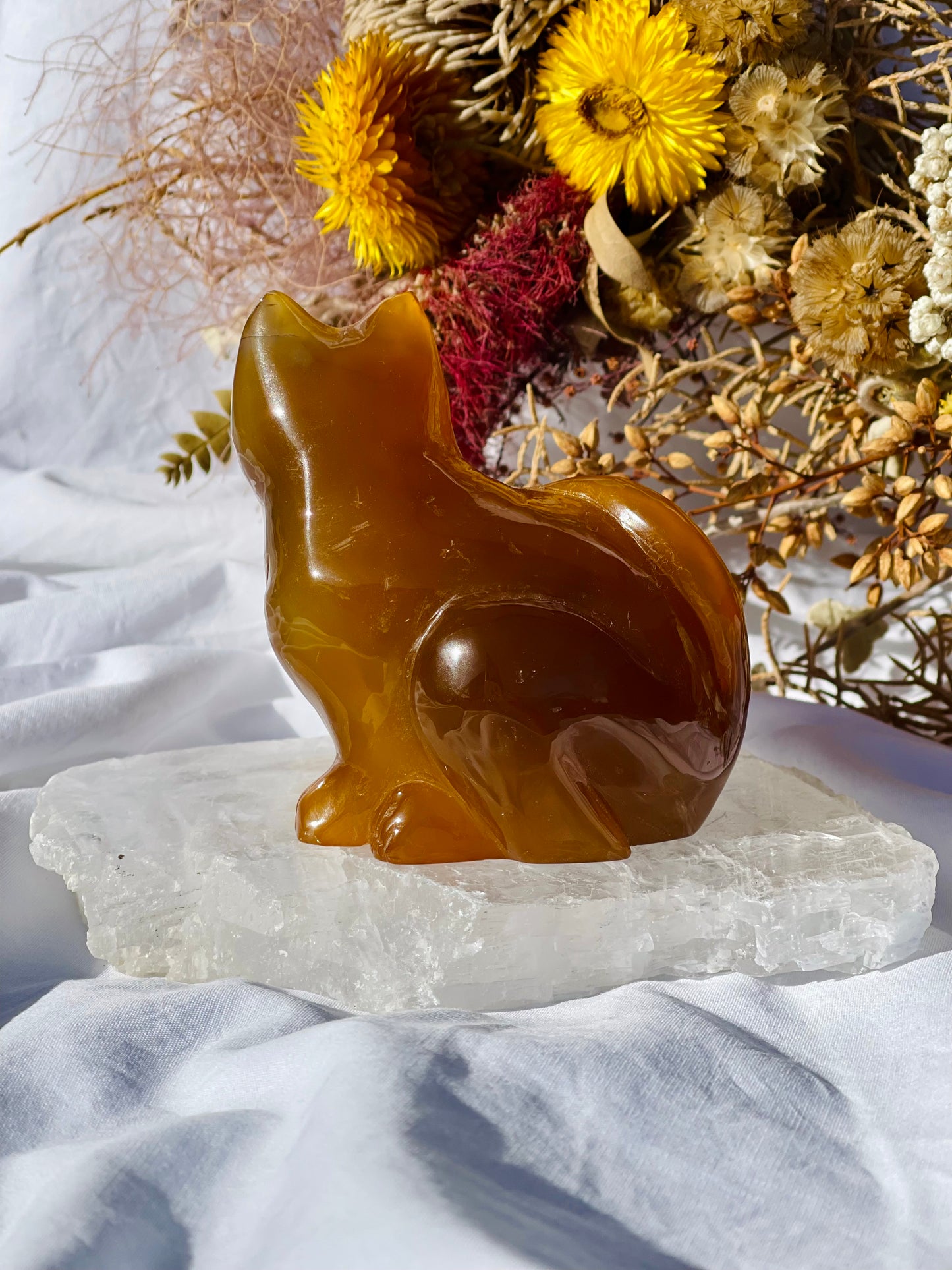 Carnelian Druzy Cat