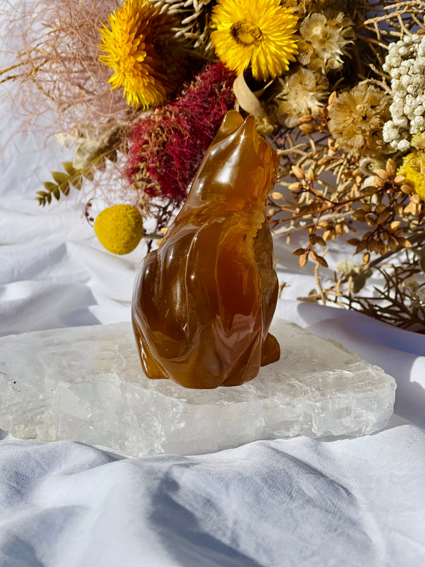 Carnelian Druzy Cat