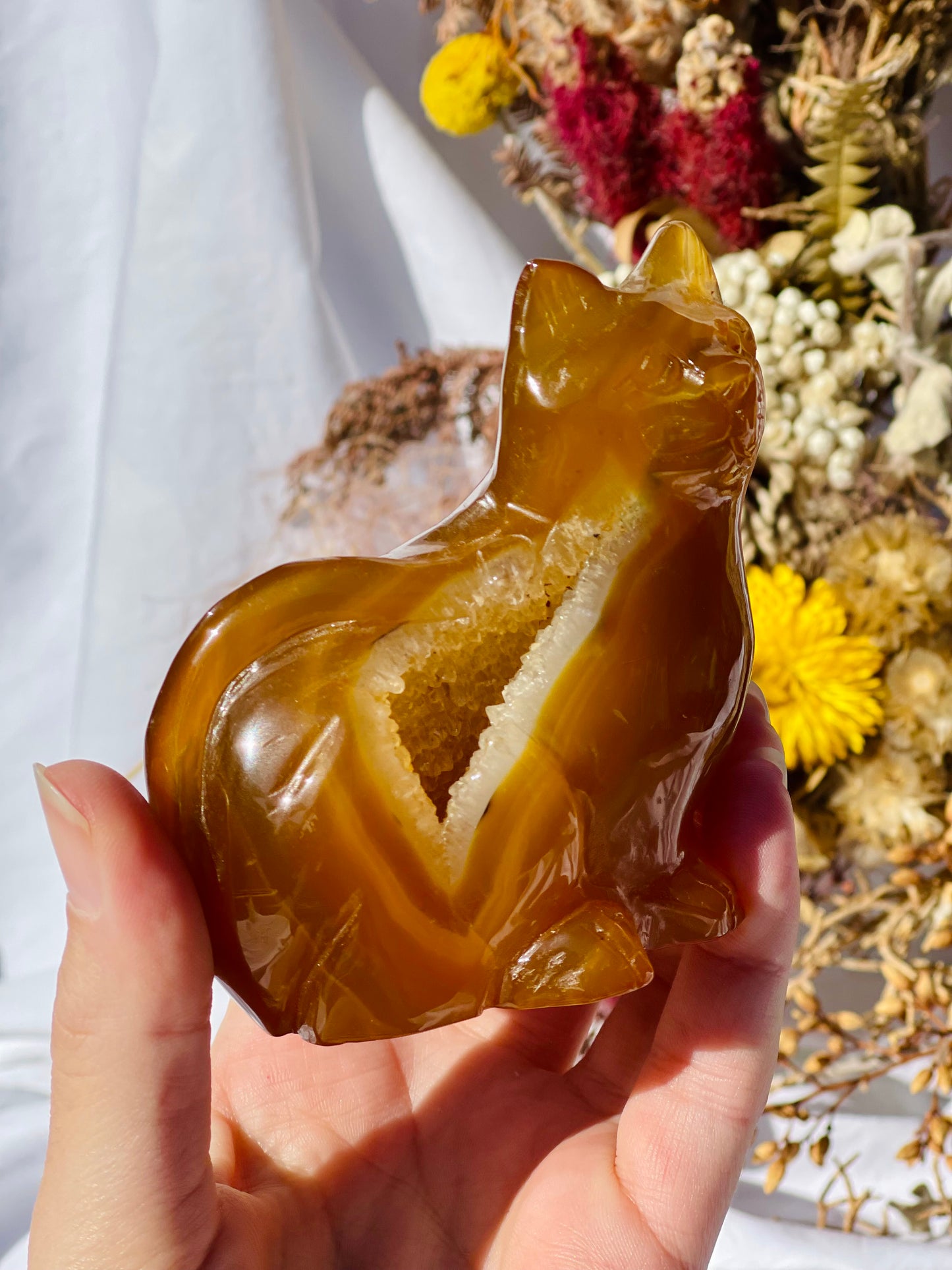 Carnelian Druzy Cat