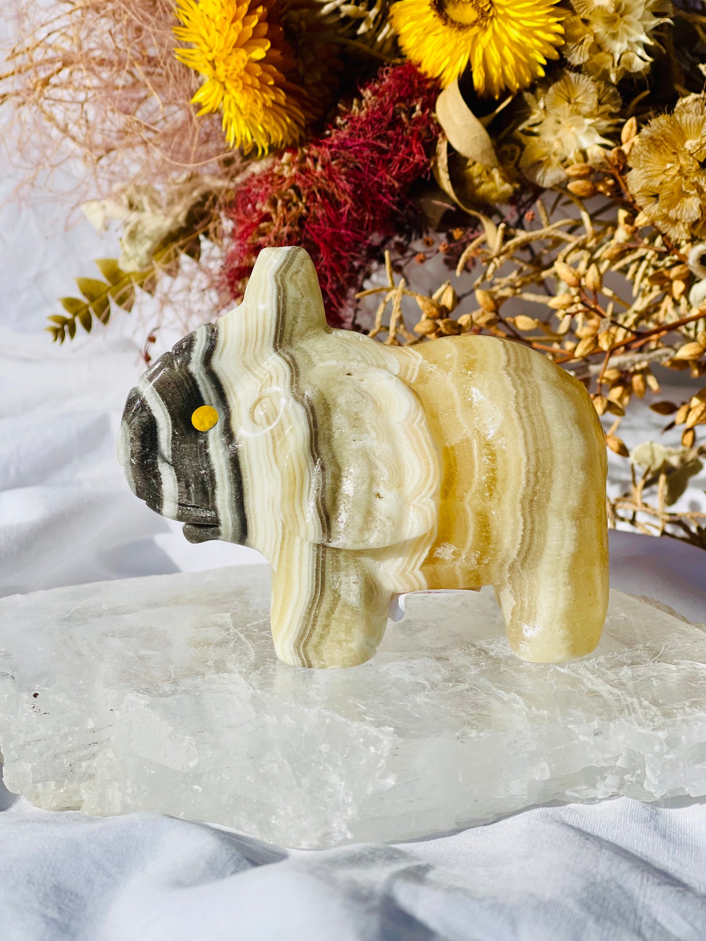 Yellow Zebra Calcite Elephant