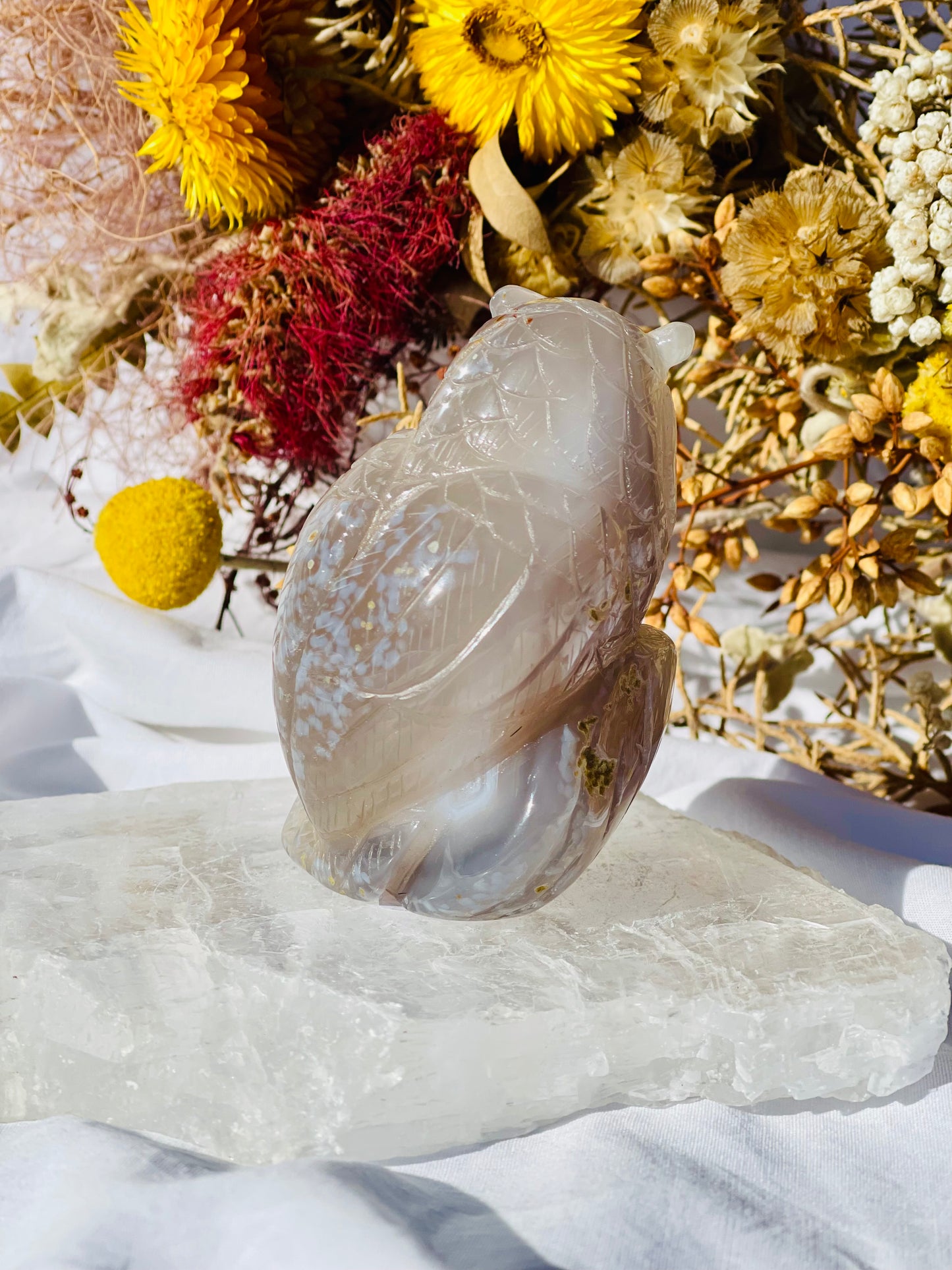 Druzy Agate Owl