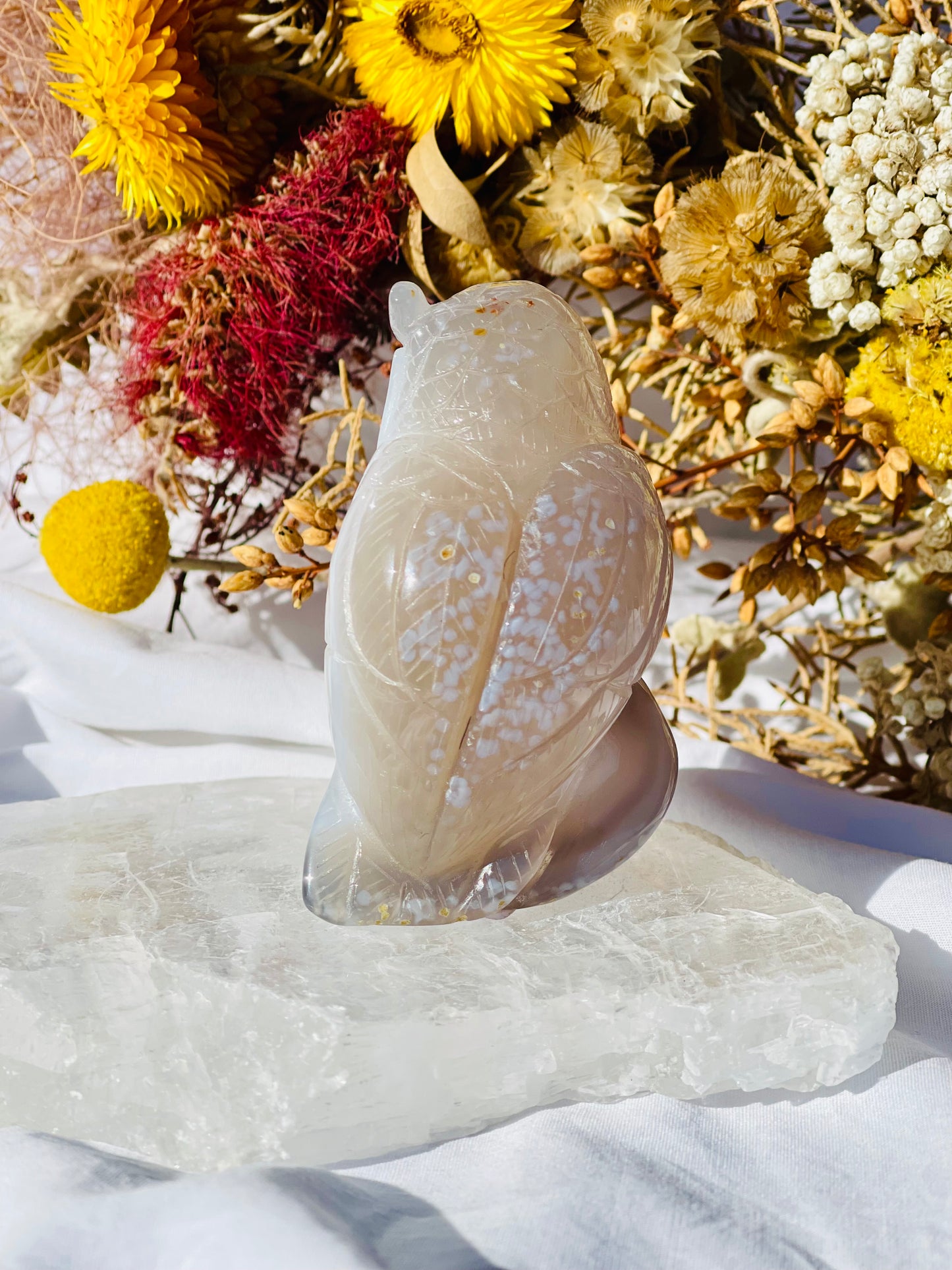 Druzy Agate Owl