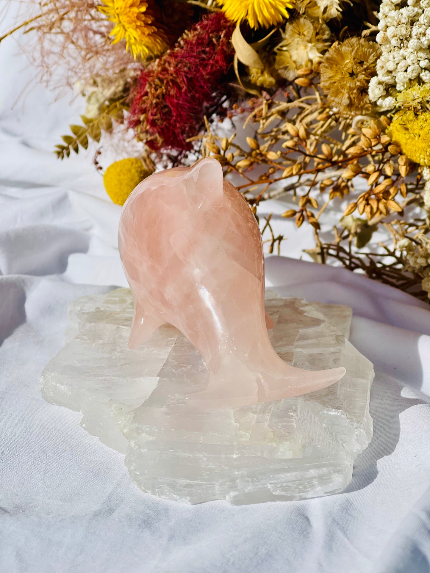 Rose Quartz Dolphin