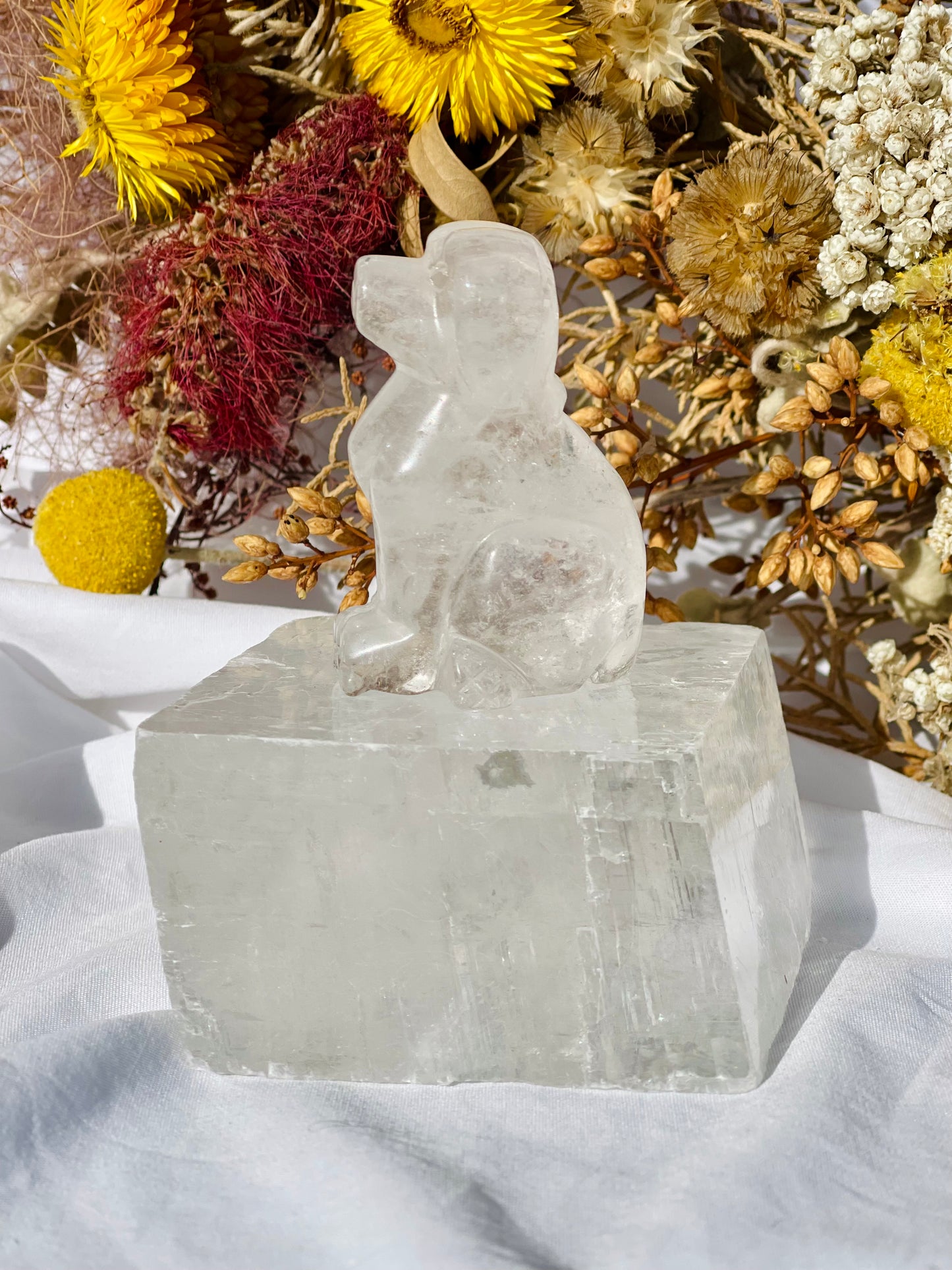 Clear Quartz Dog