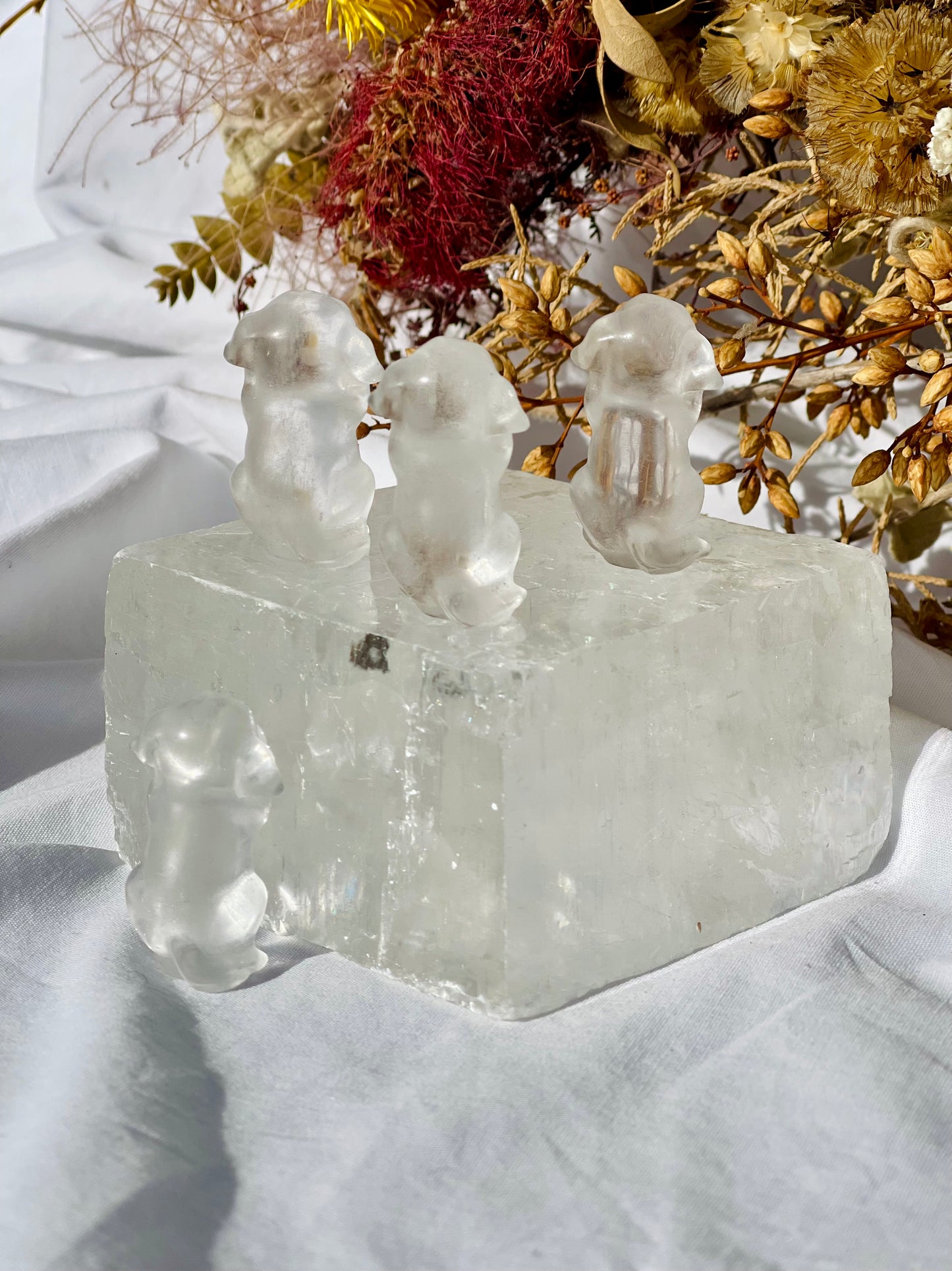Clear Quartz Dog