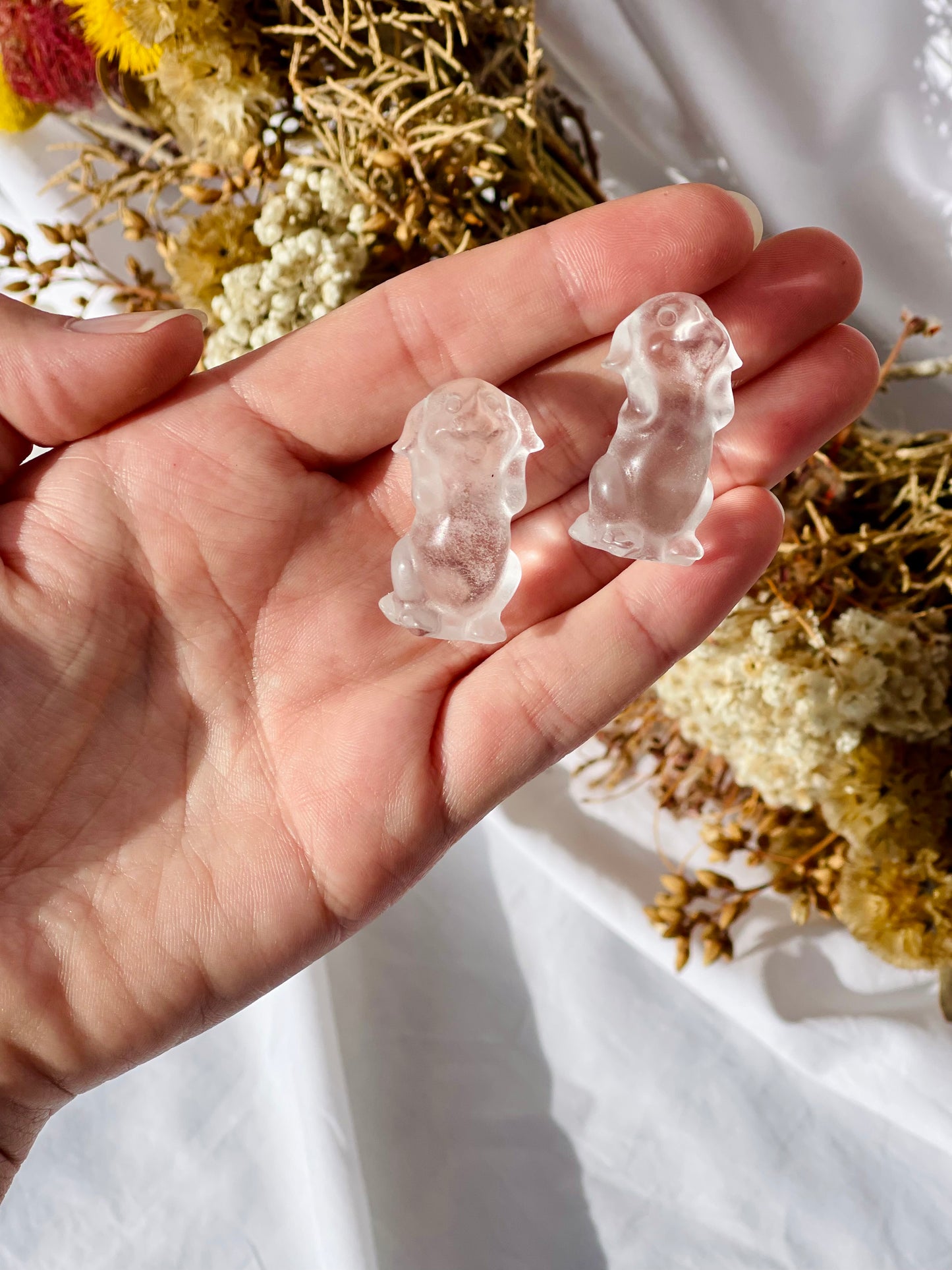 Clear Quartz Dog