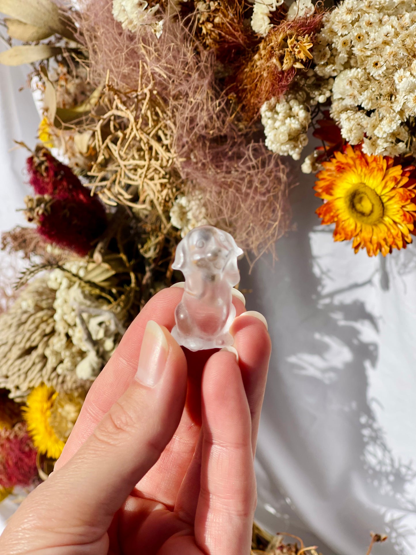 Clear Quartz Dog